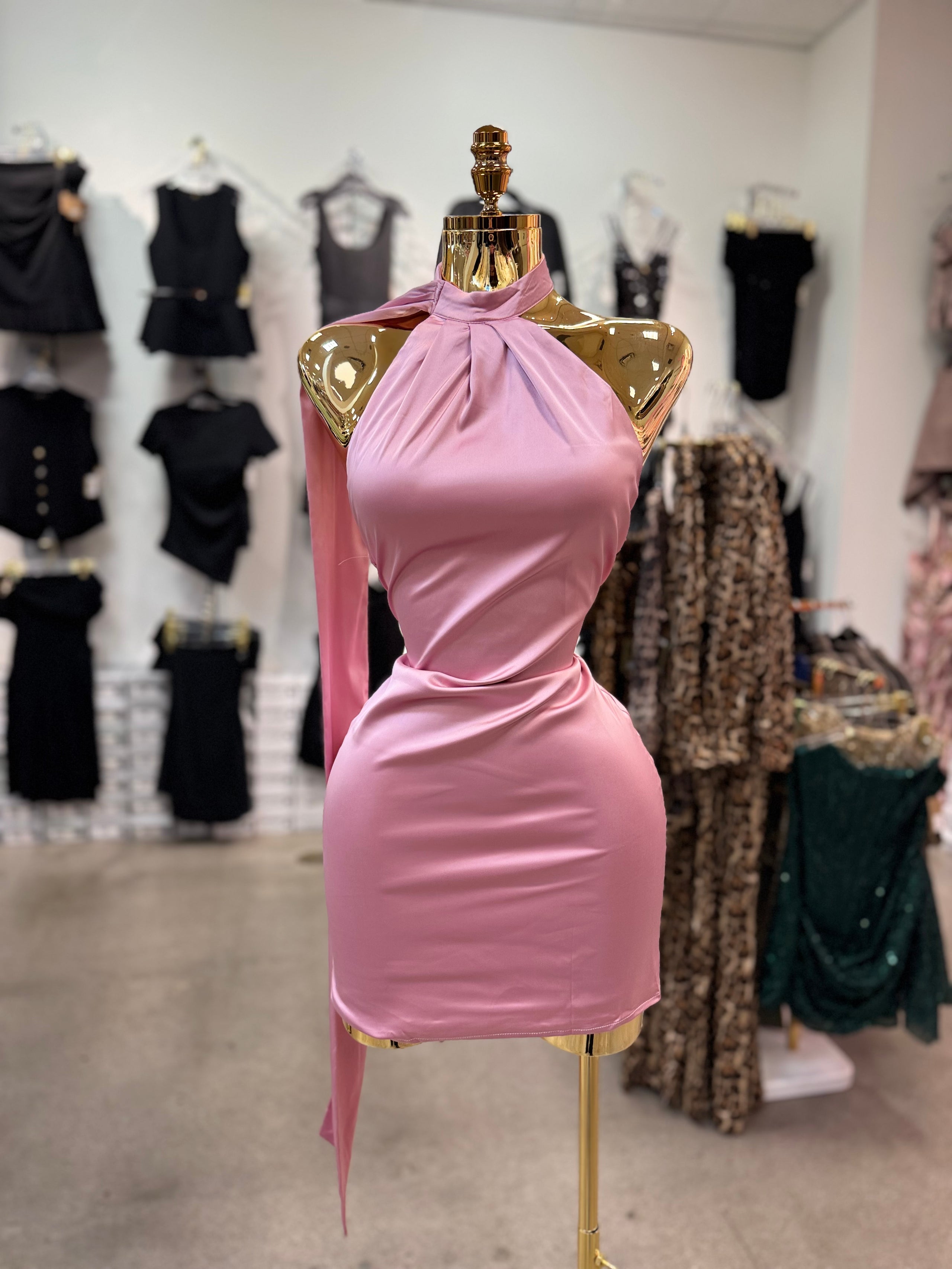 Noelia's Dress