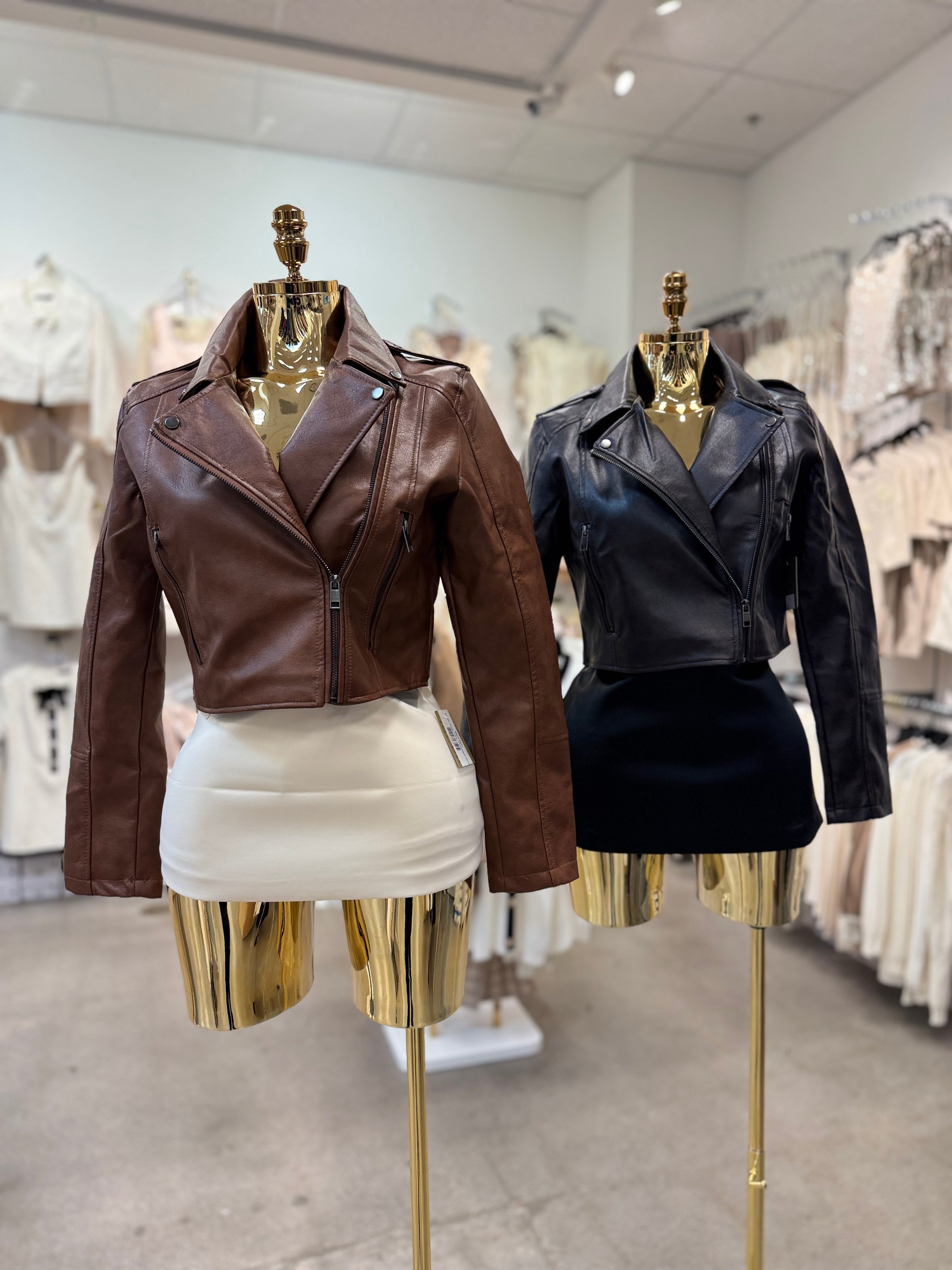 Madonna's Jacket