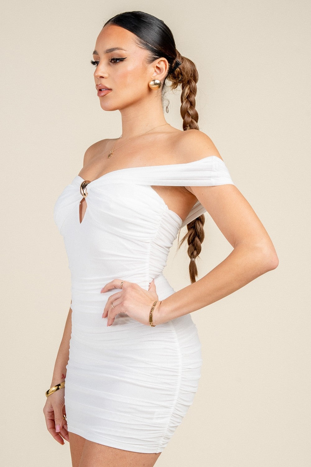 Adriana's Mesh Dress