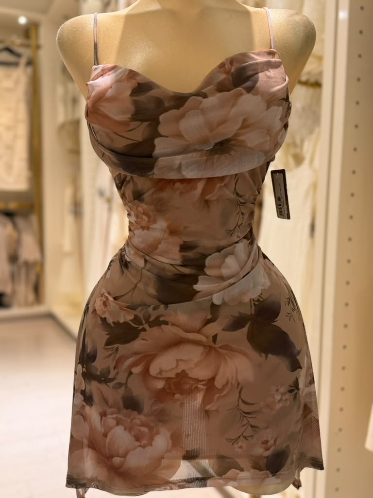 Griselda's Dress