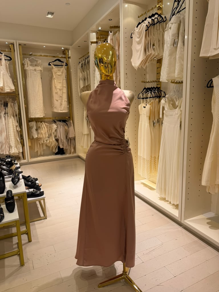 Karely's Silk Dress