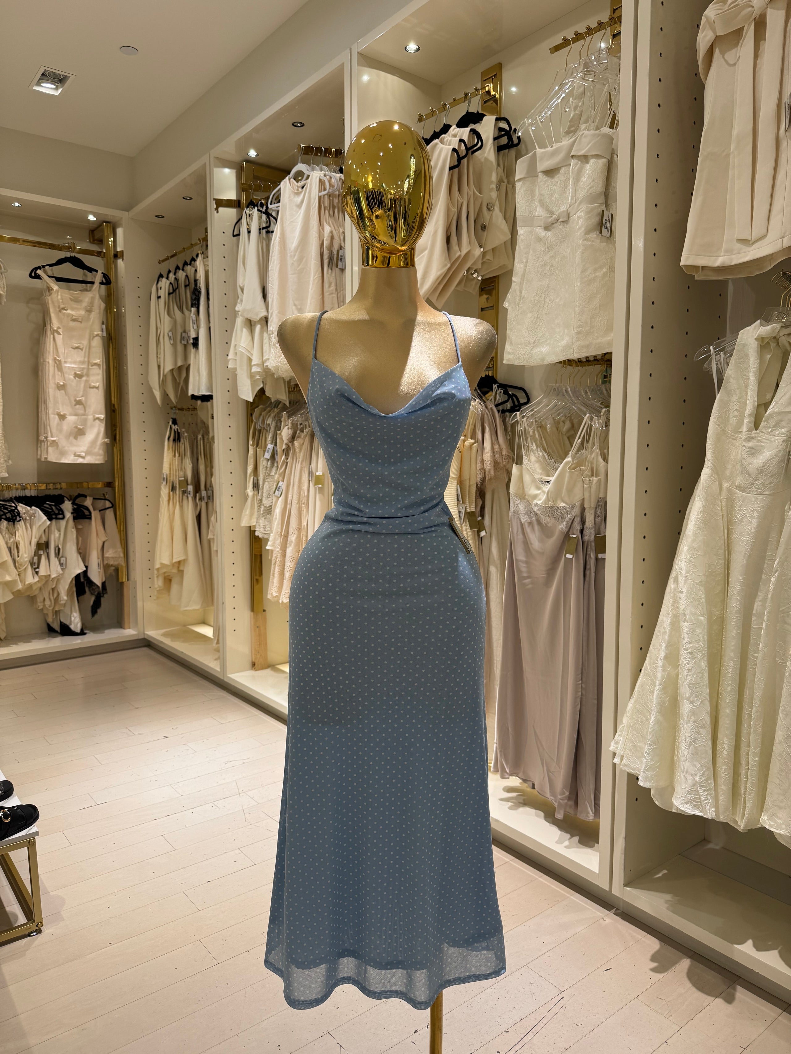 Ari's Dress