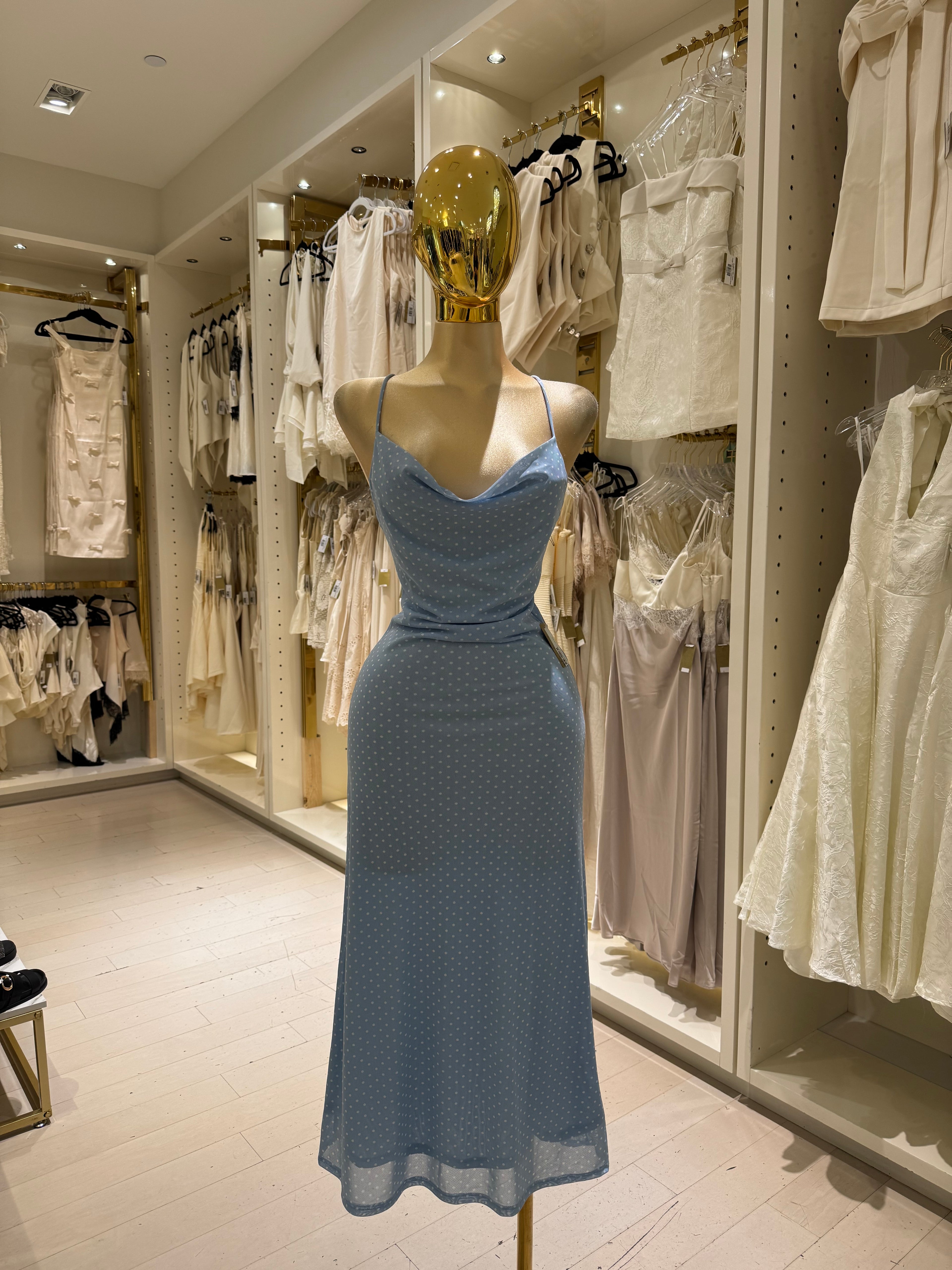 Ari's Dress