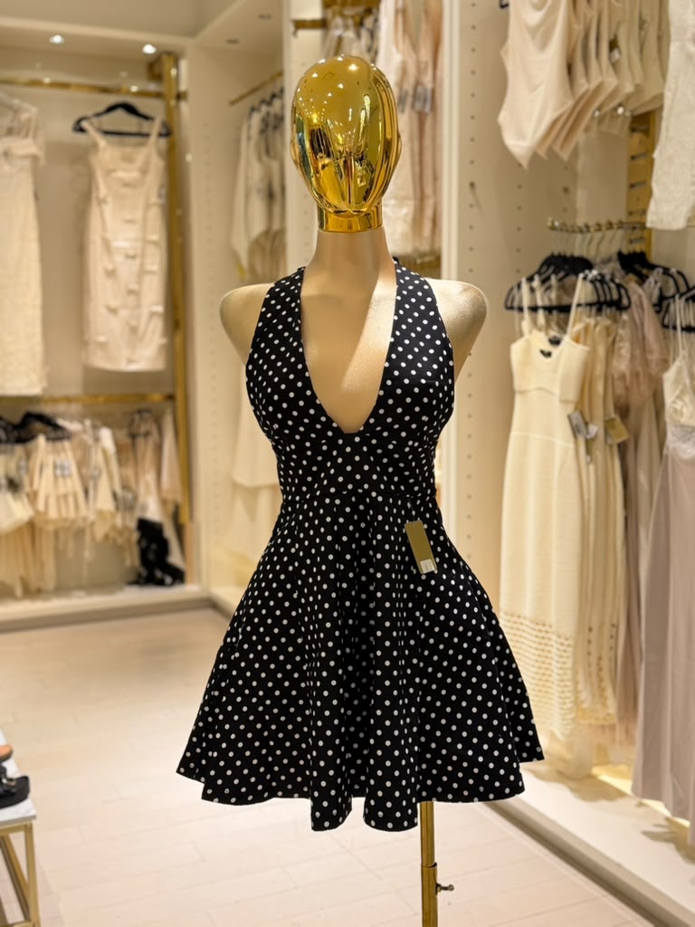 Yarabiz's Dress