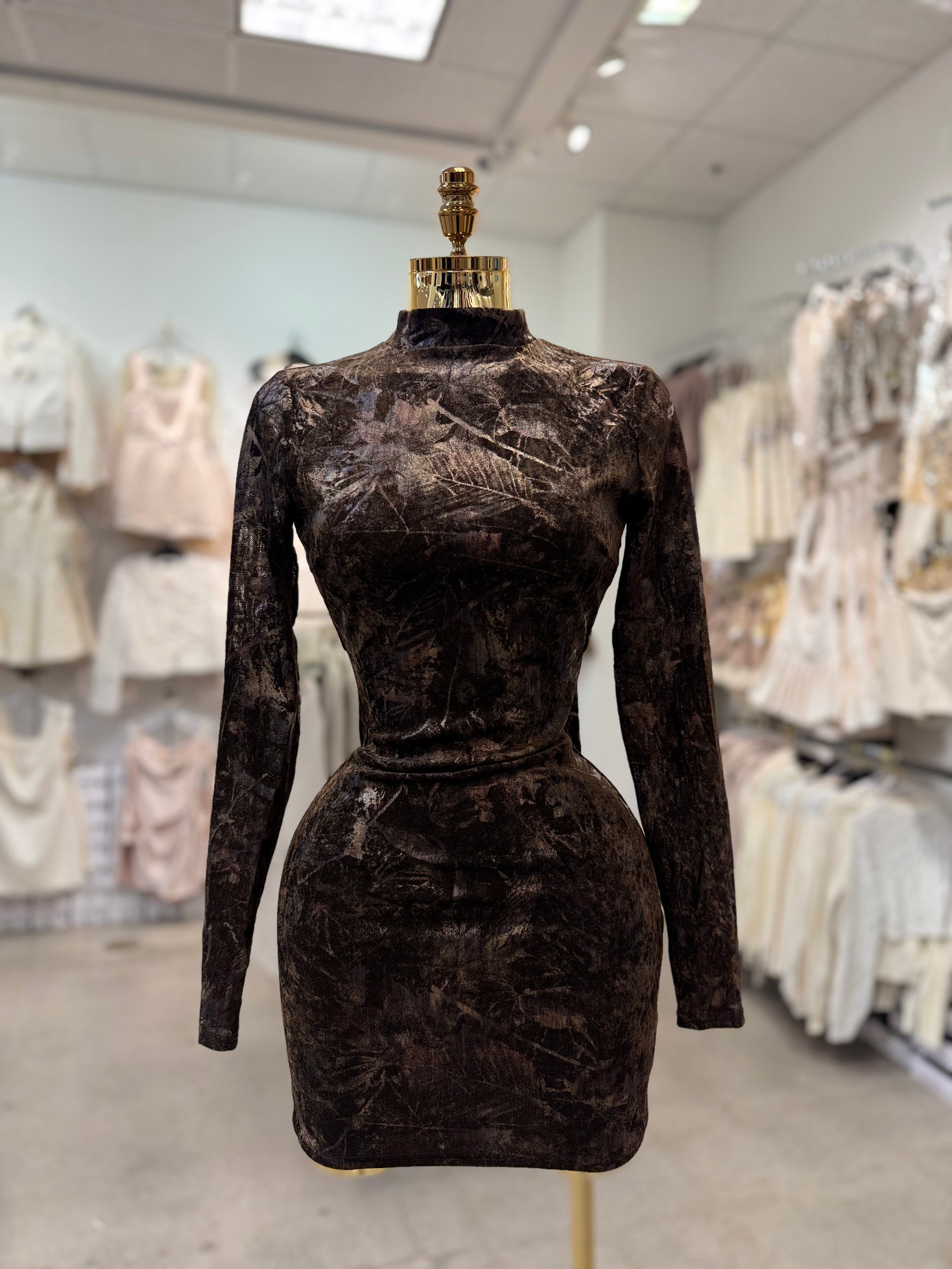 Amber's Dress
