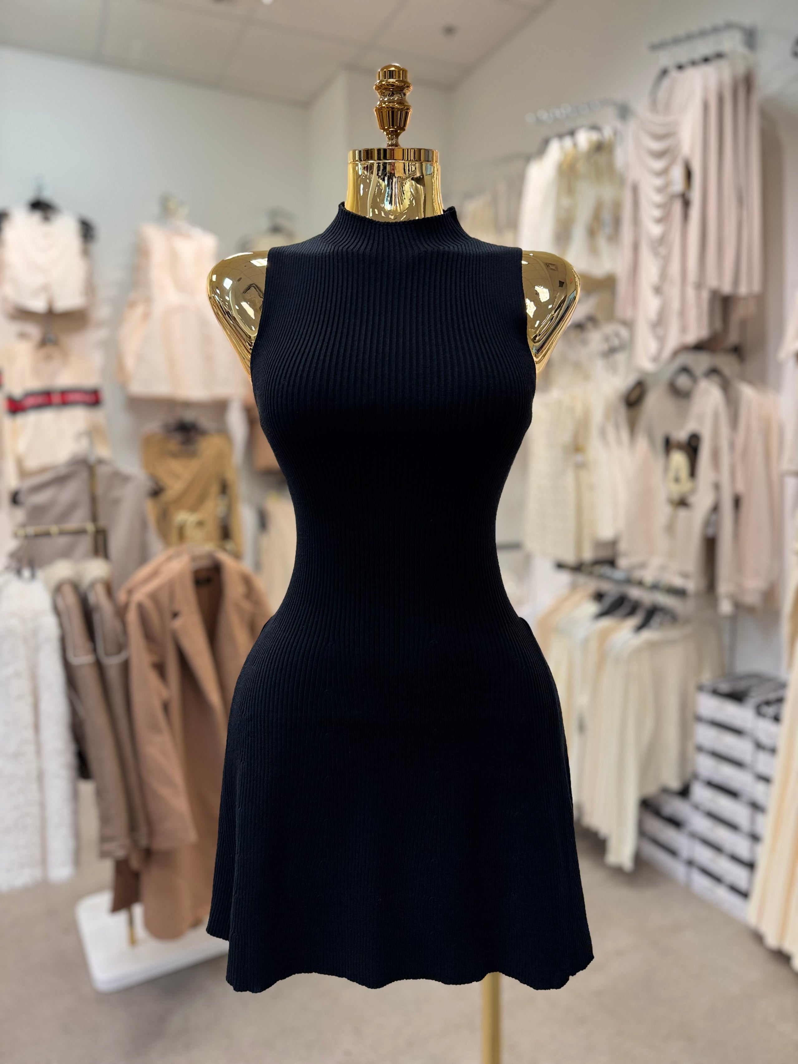Alaissa's Dress