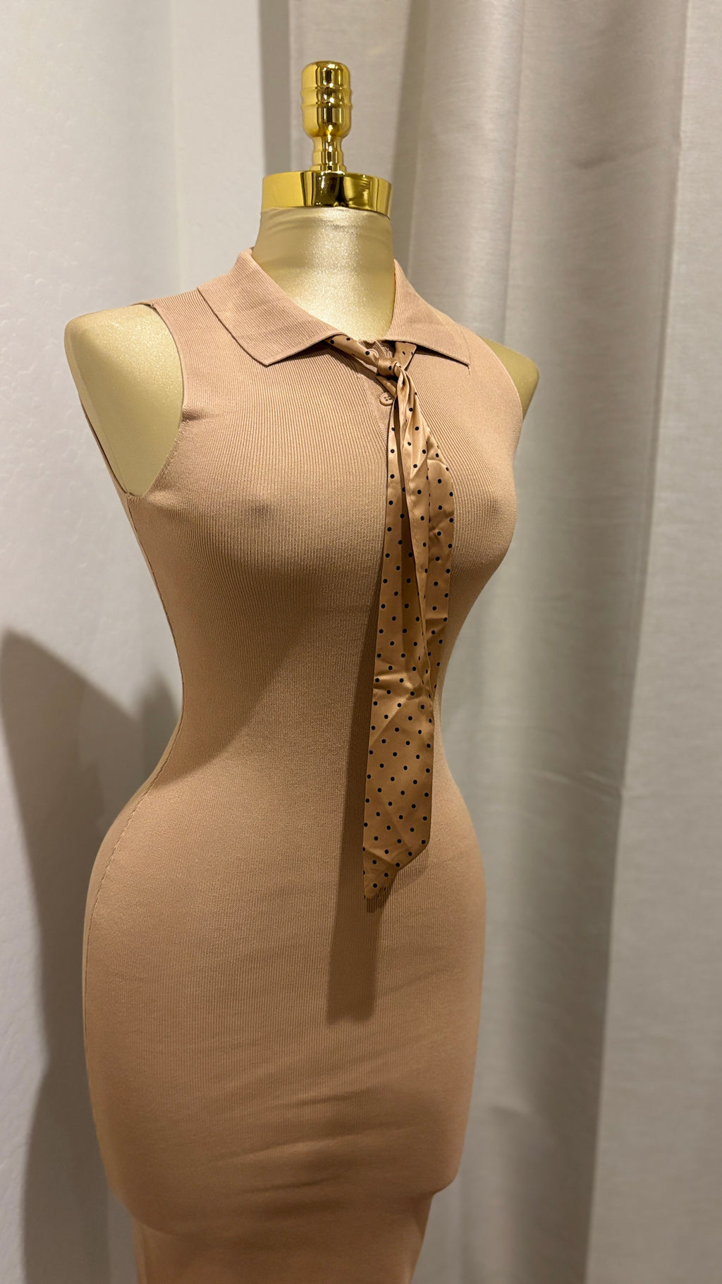 Arriela’s Dress