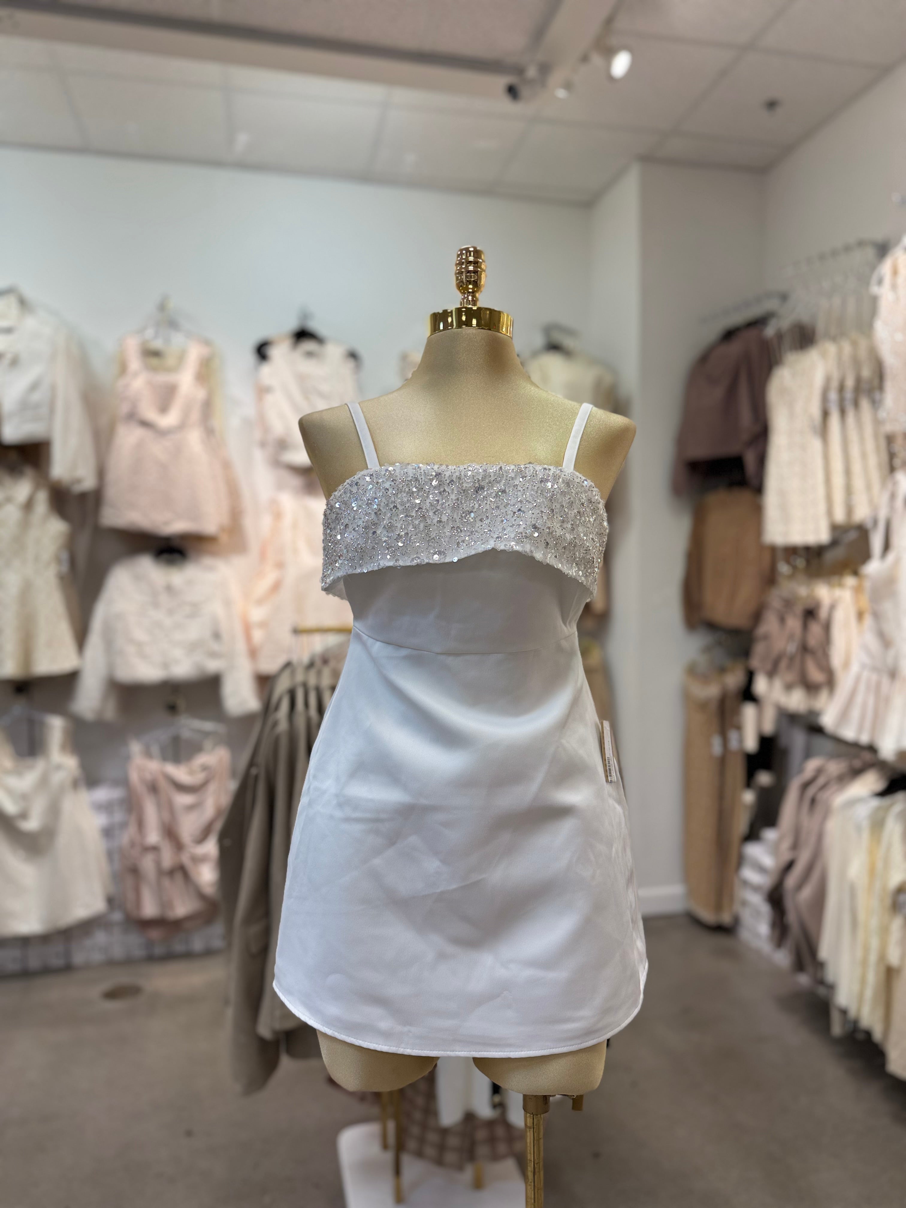 Damiana's Dress