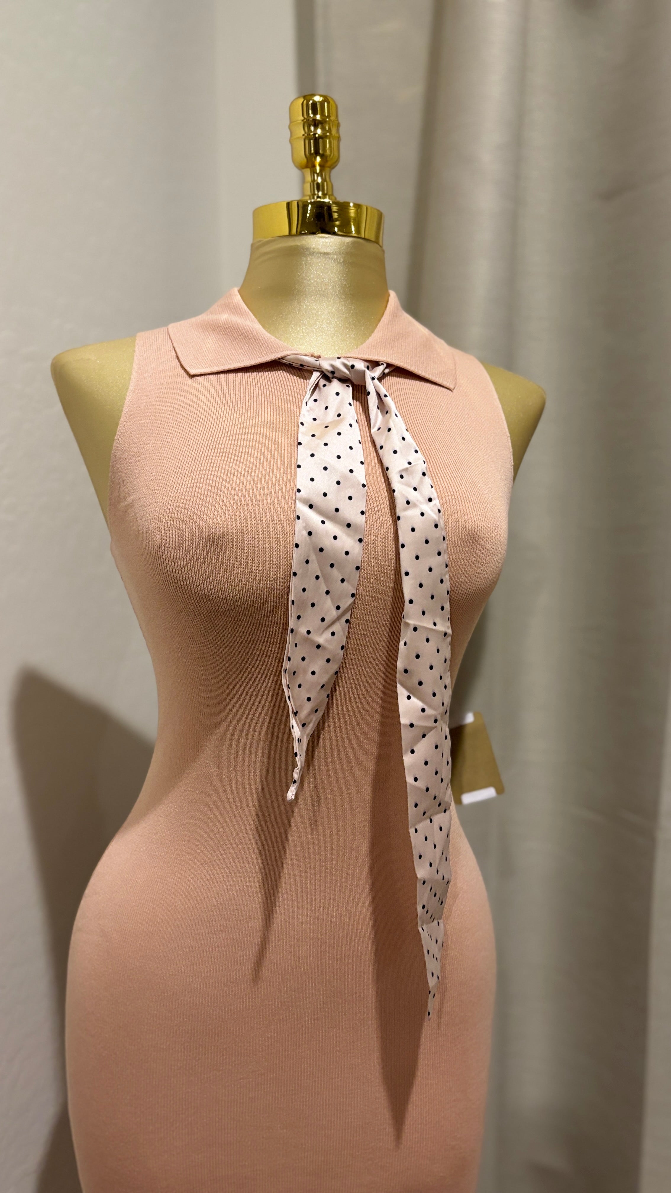 Arriela’s Dress