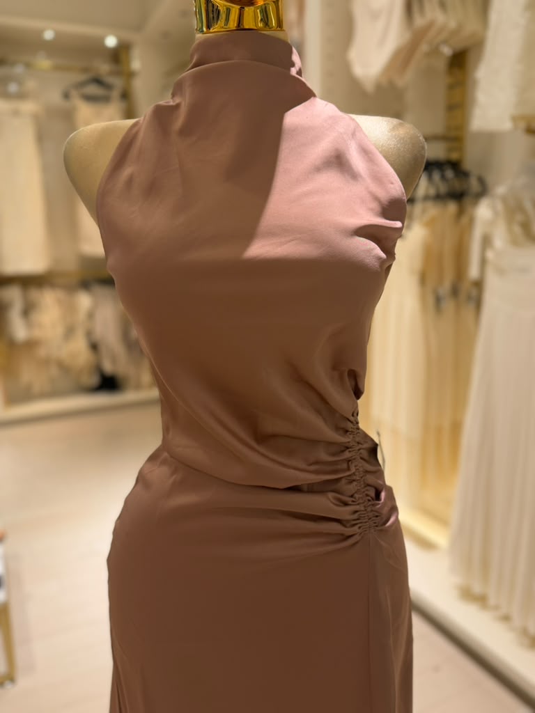 Karely's Silk Dress
