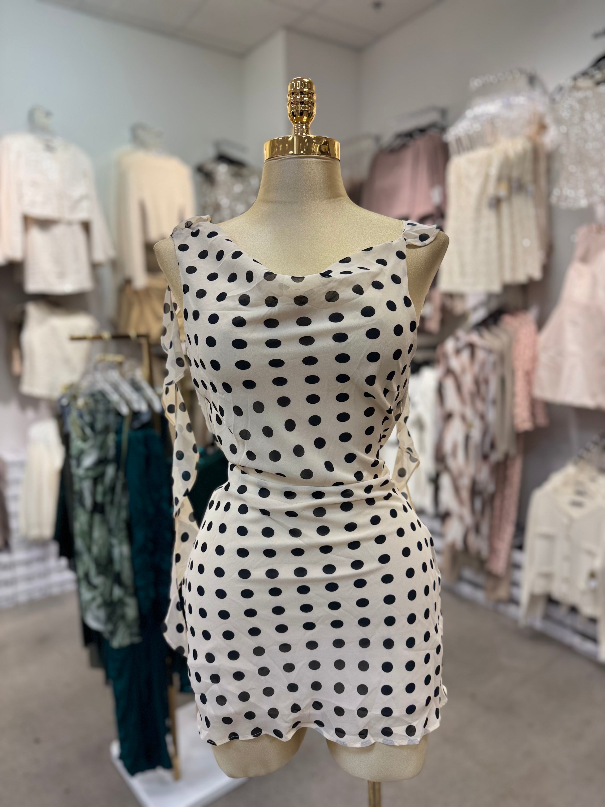 Jayla's Dress