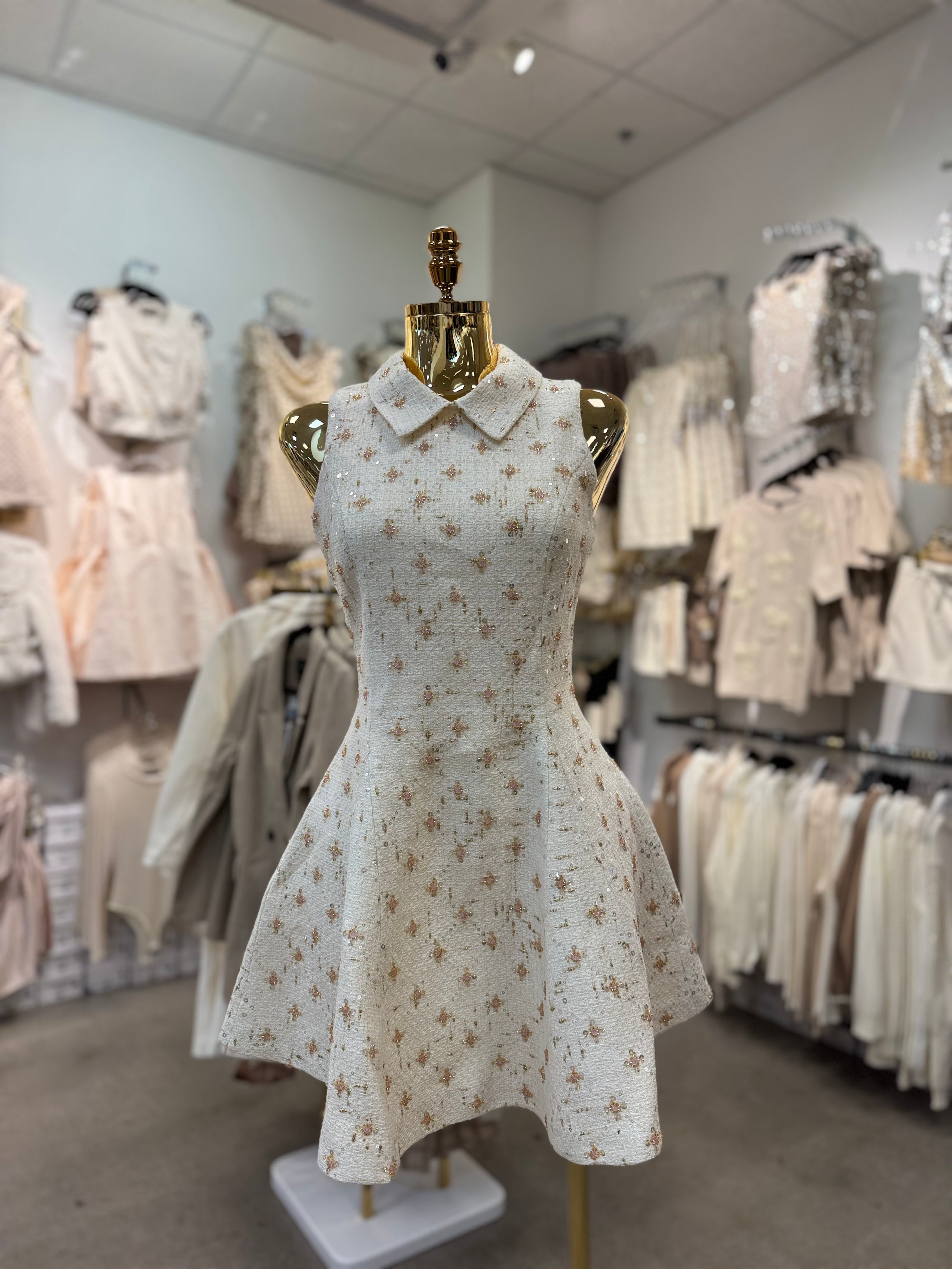 Adelle's Dress