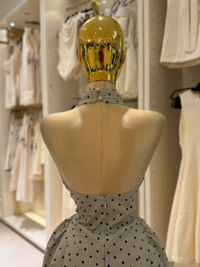 Parisanela's Dress