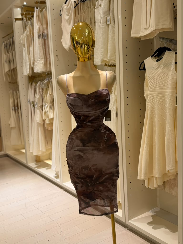 Luciana's Dress