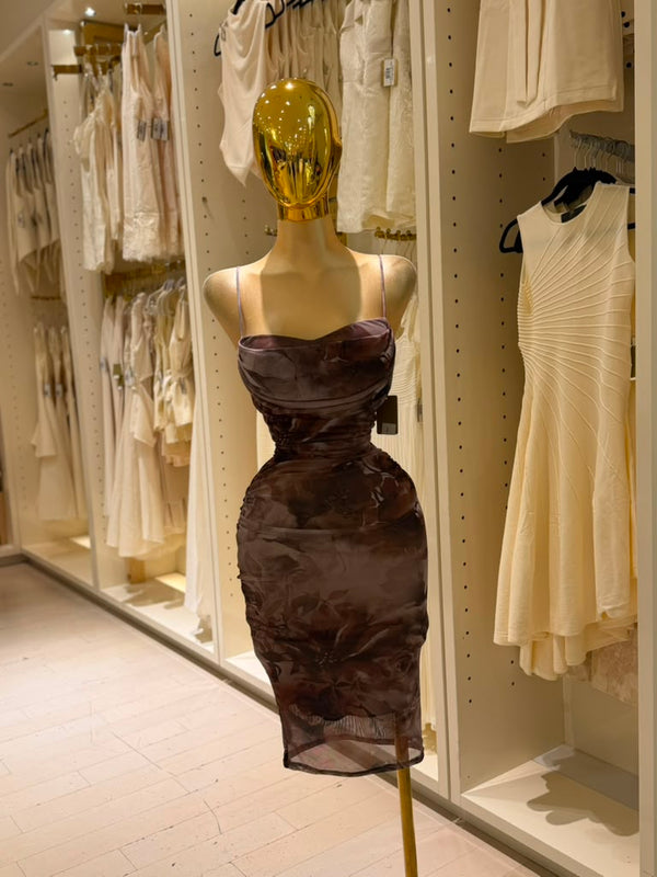 Luciana's Dress