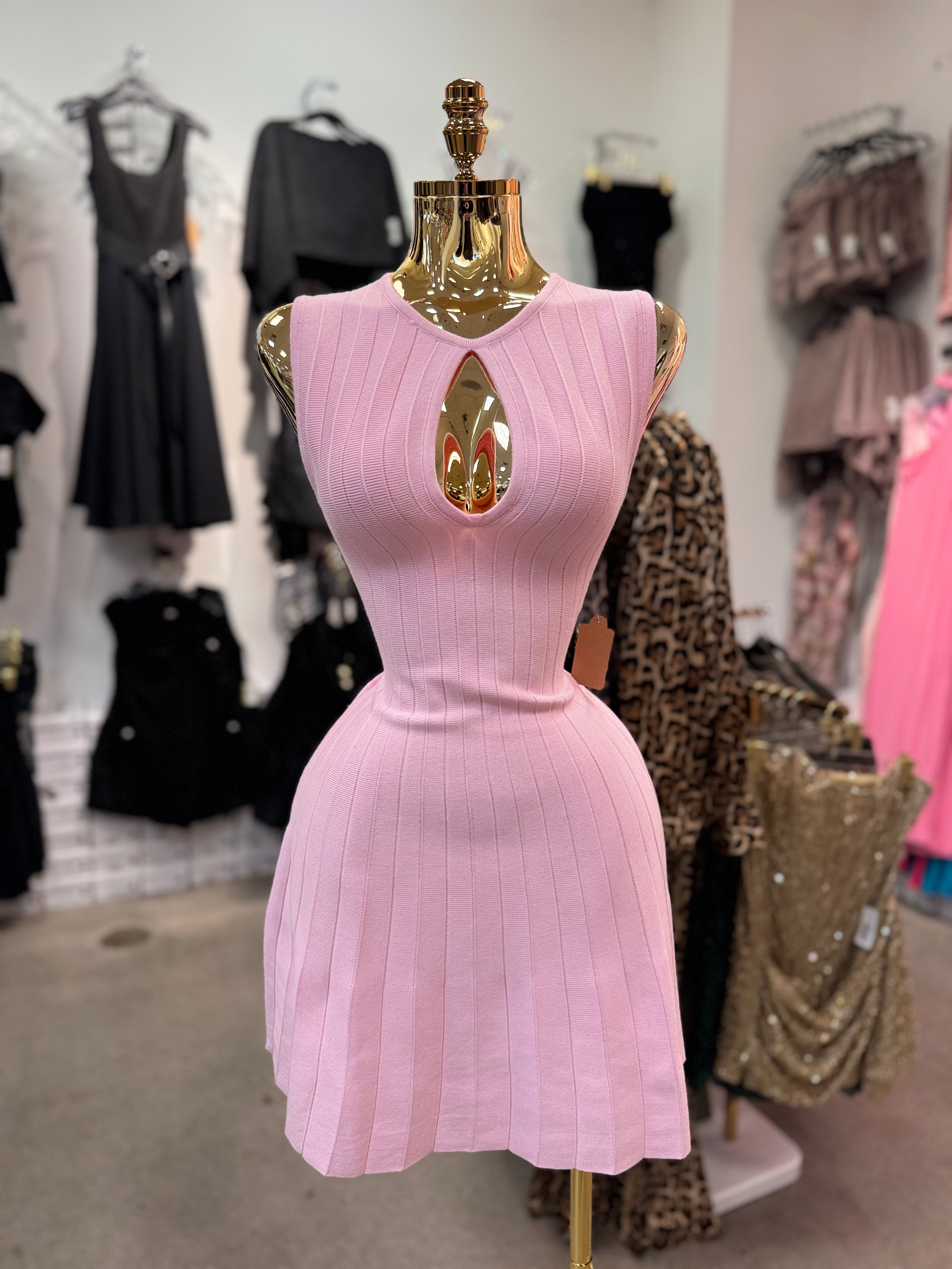Karen's Dress