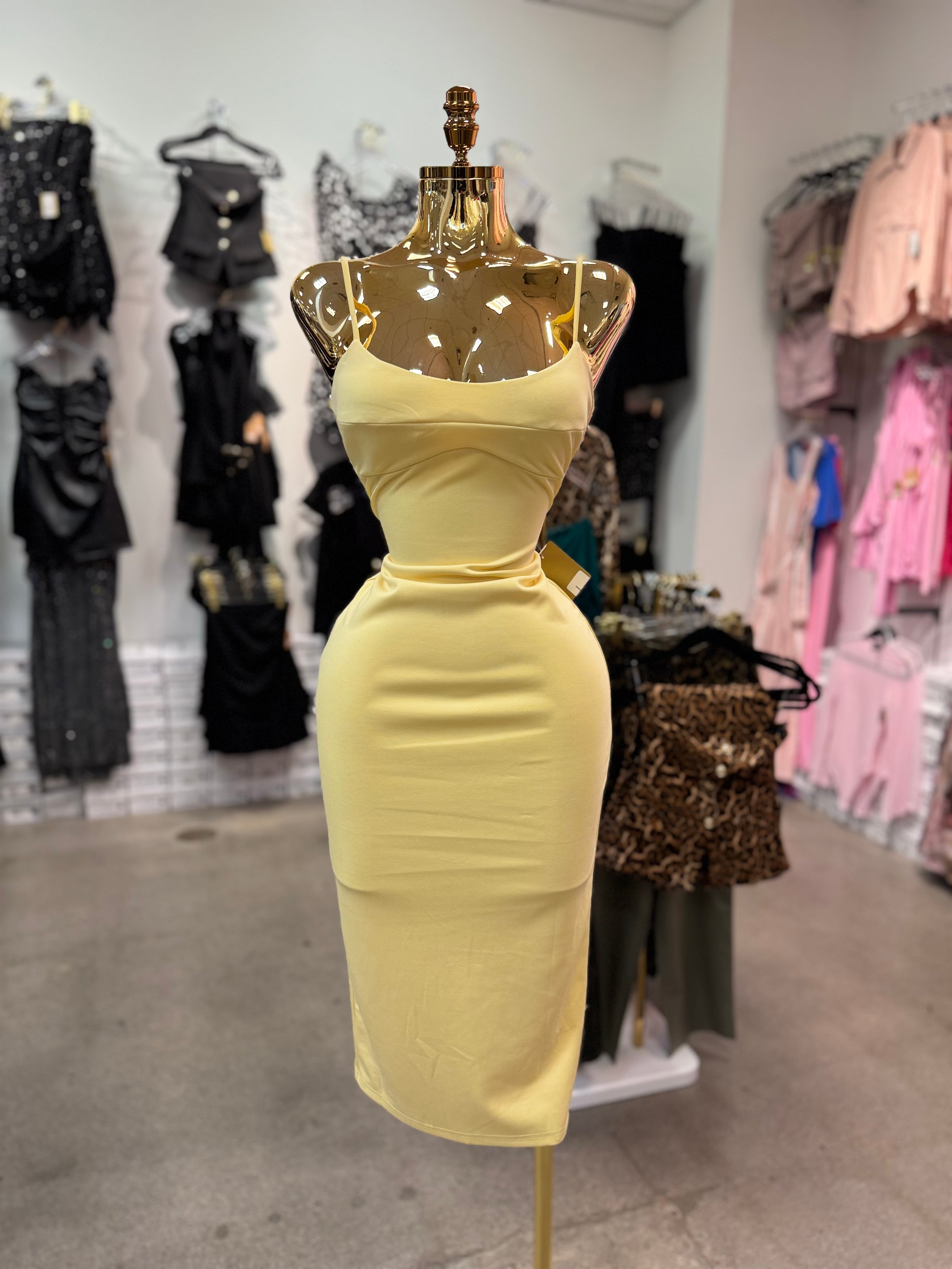 Leticia's Dress