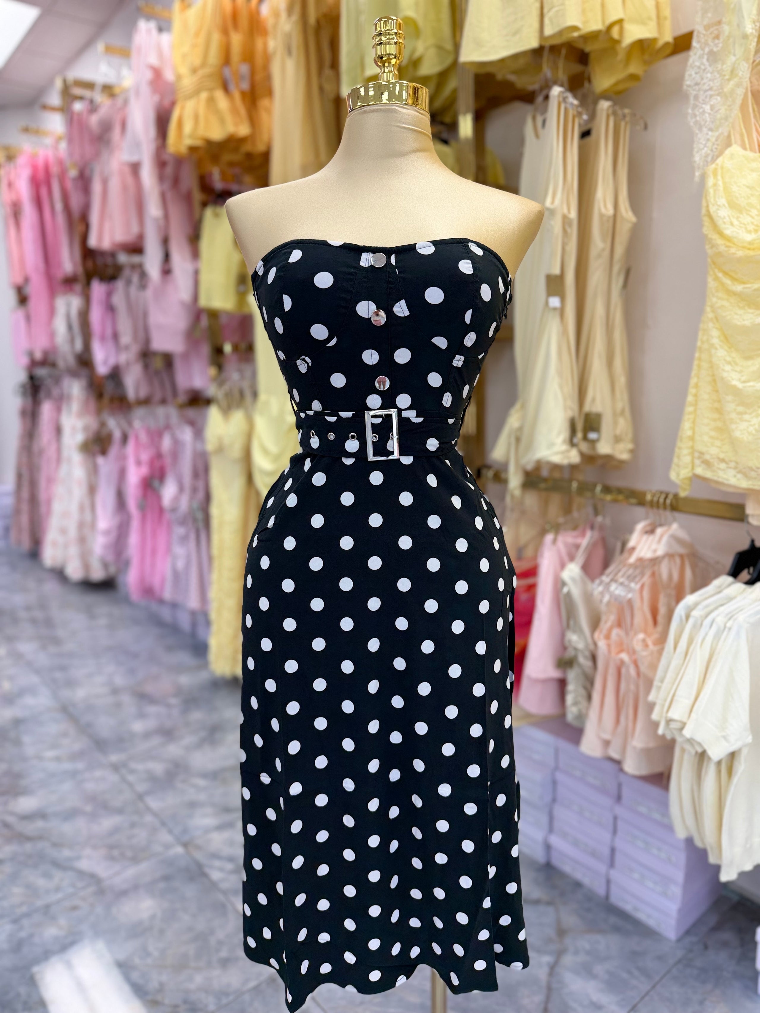 Vero’s Dress