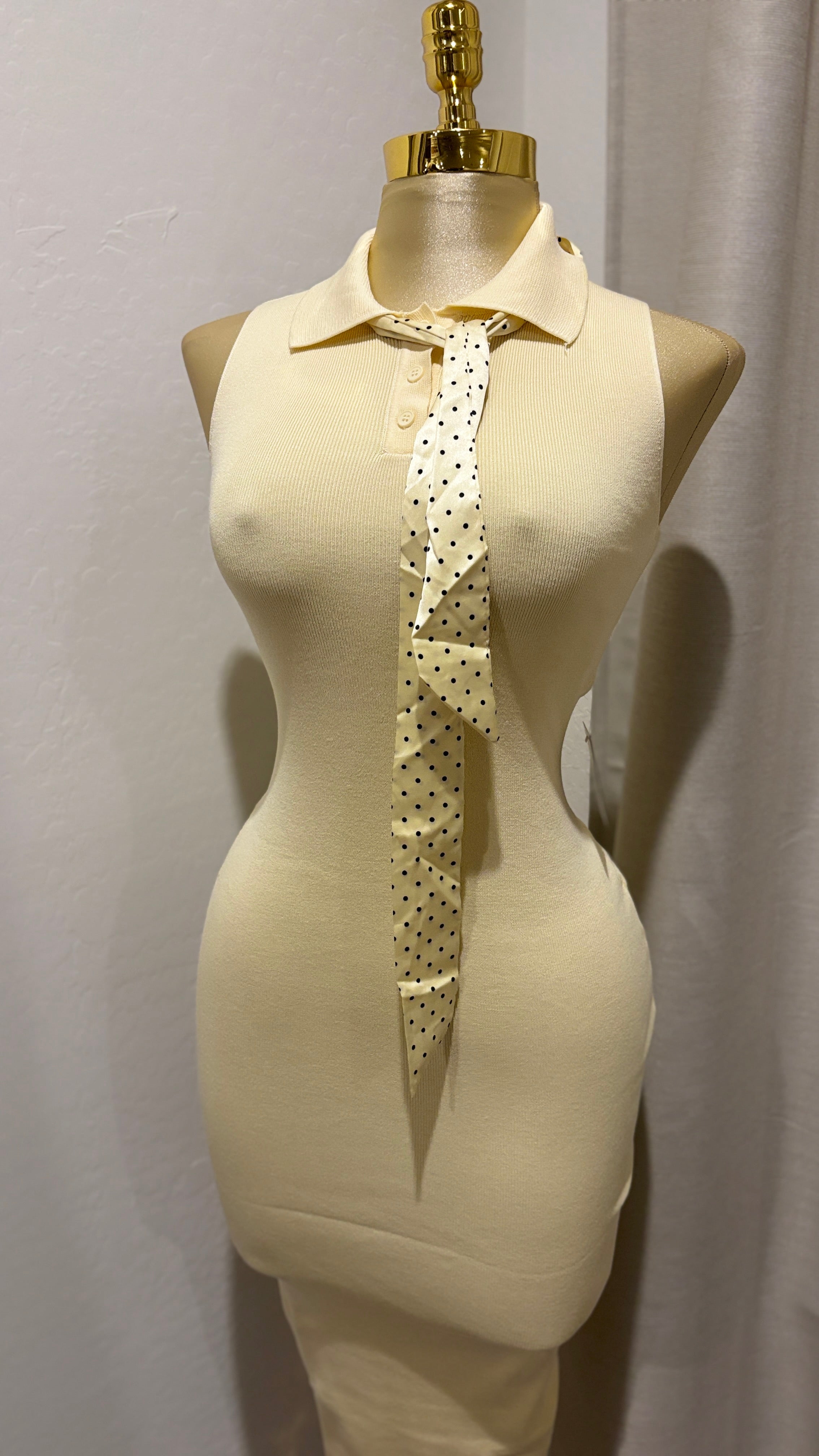 Arriela’s Dress