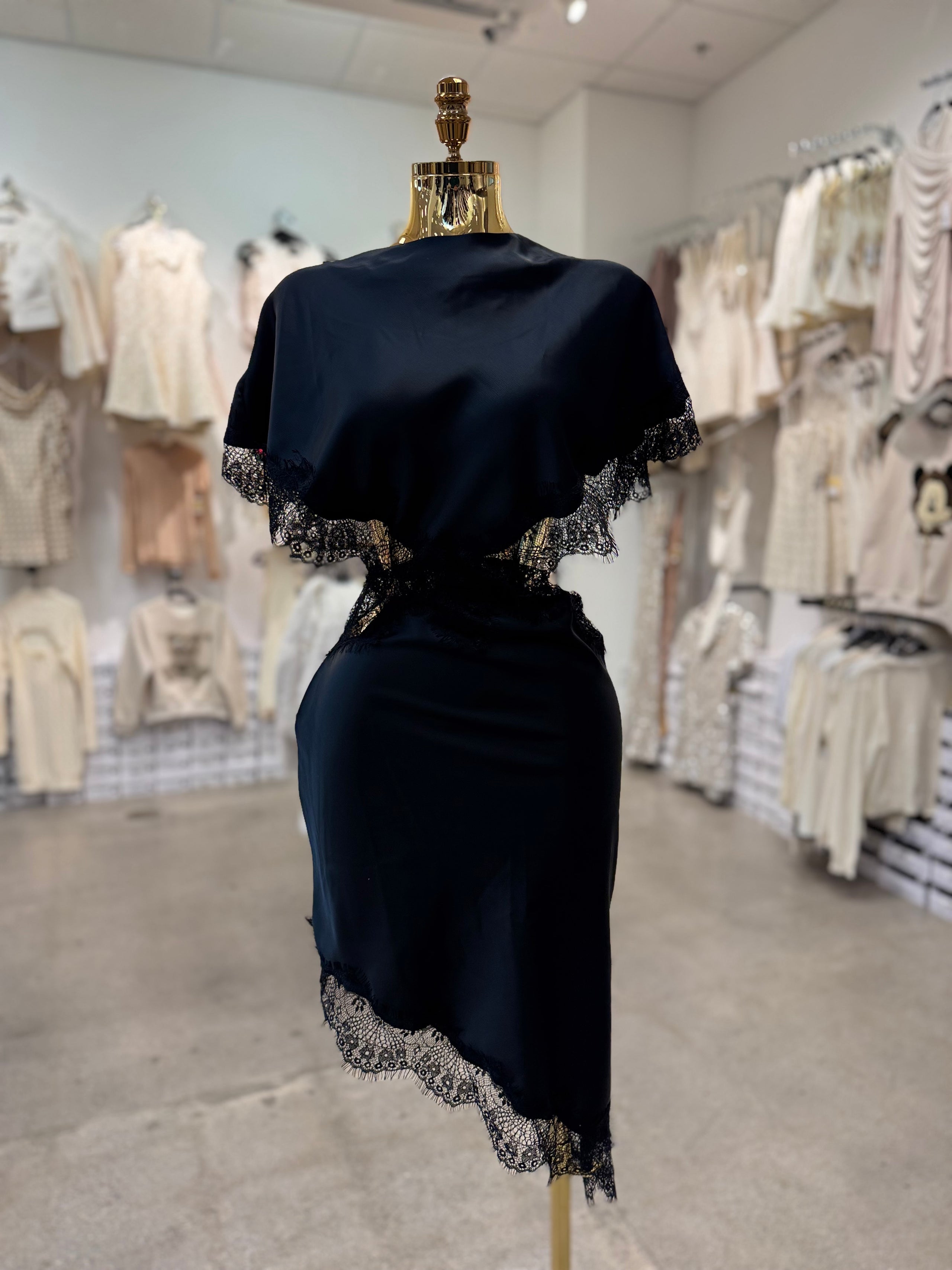 Sylvia's Dress