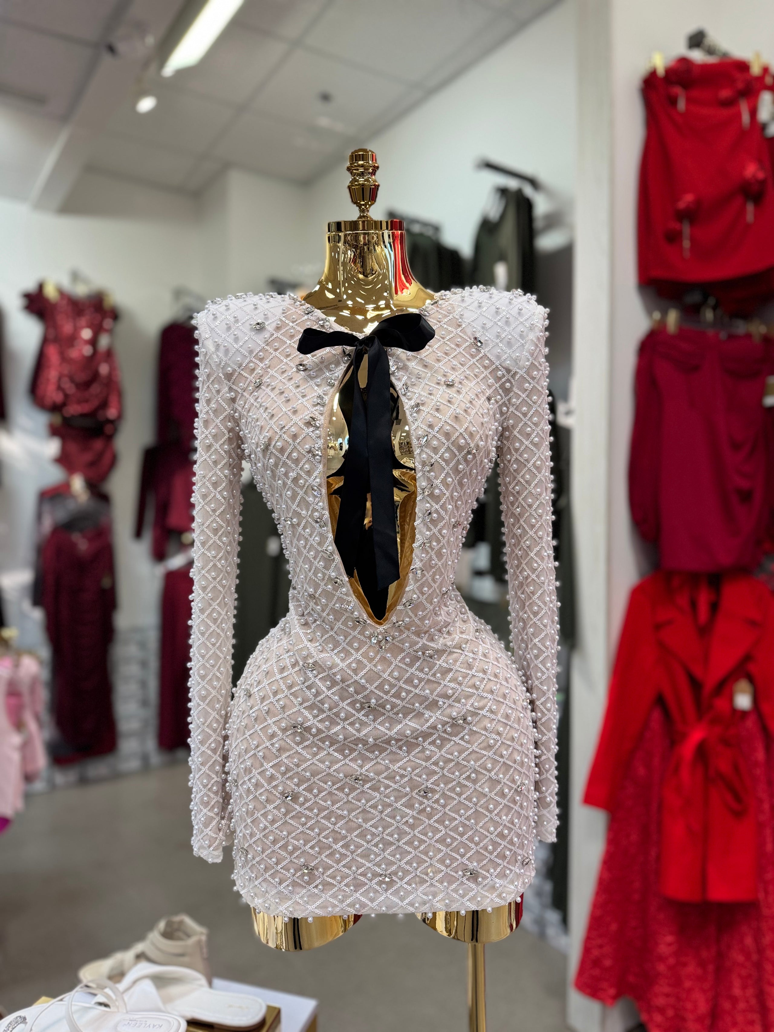 Daniela's Dress