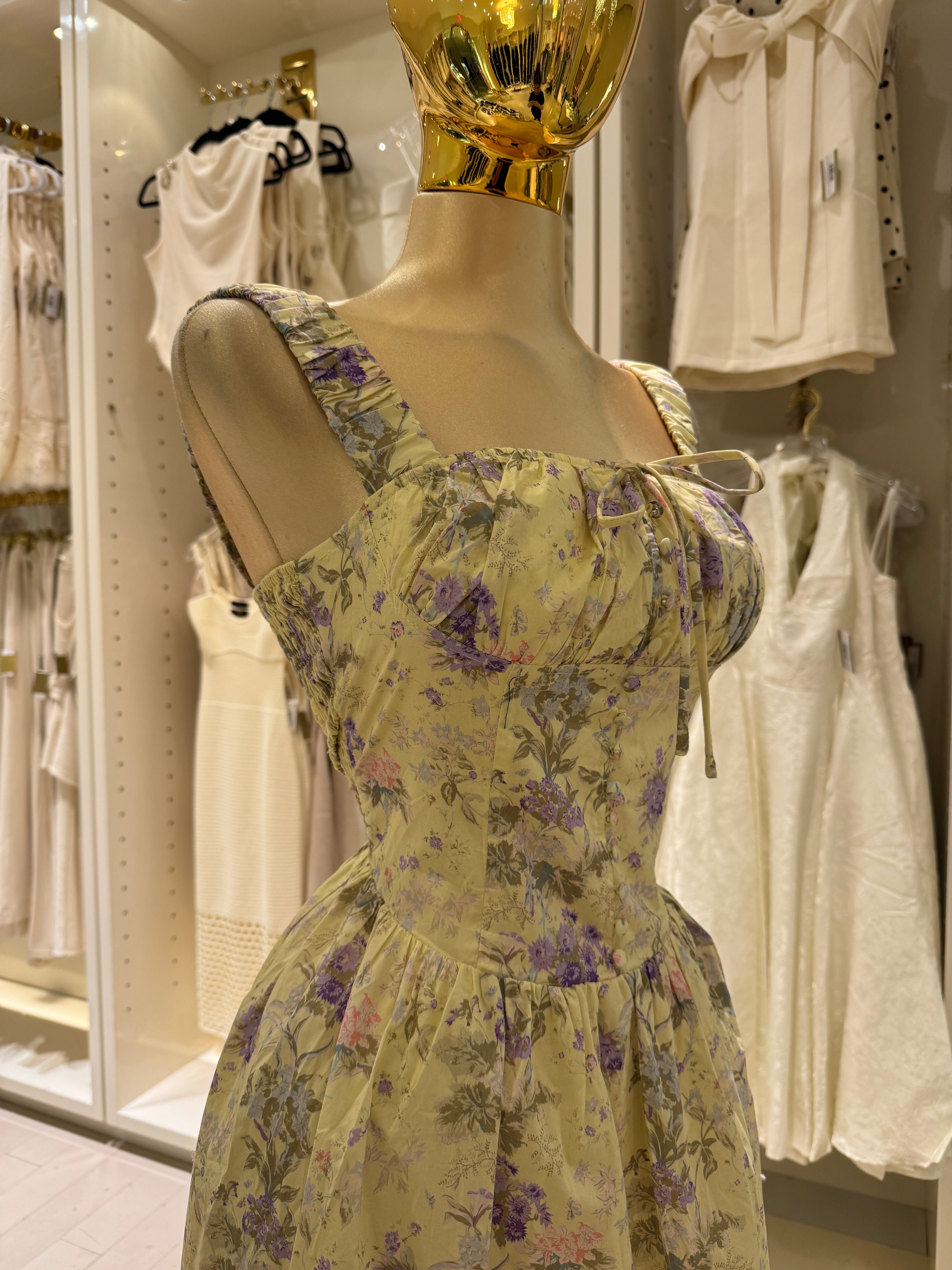 Florencia's Dress