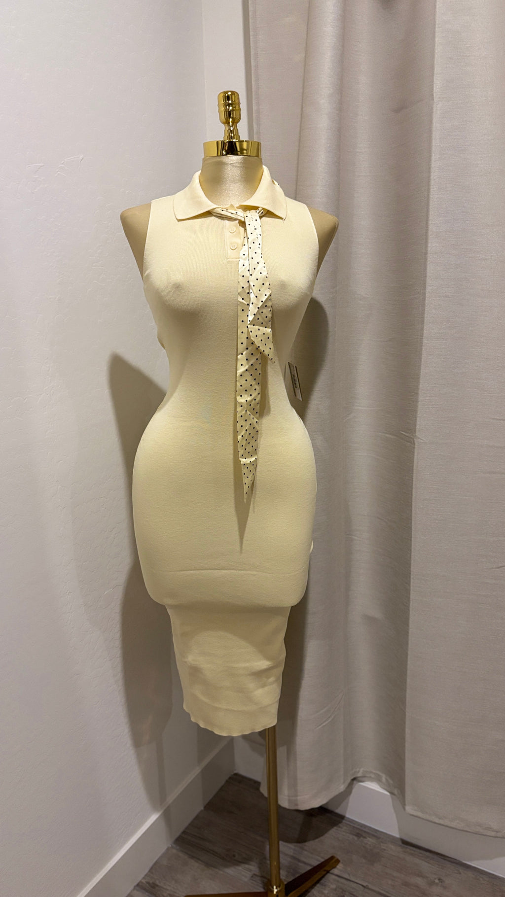 Arriela’s Dress