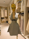 Parisanela's Dress