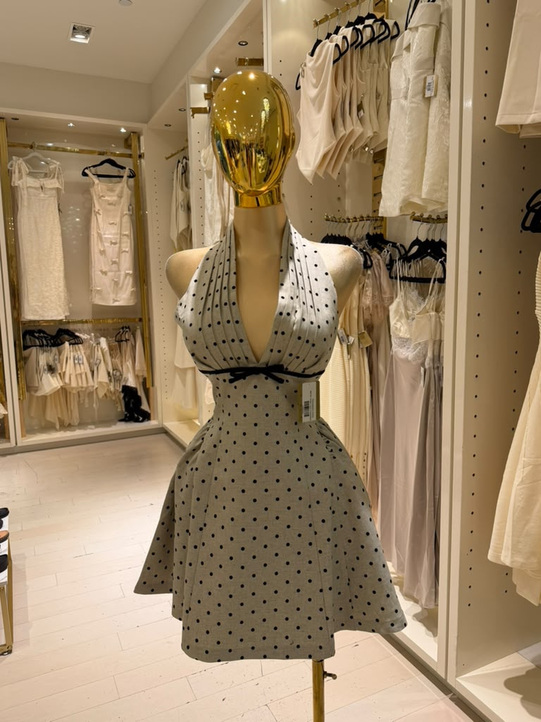 Parisanela's Dress