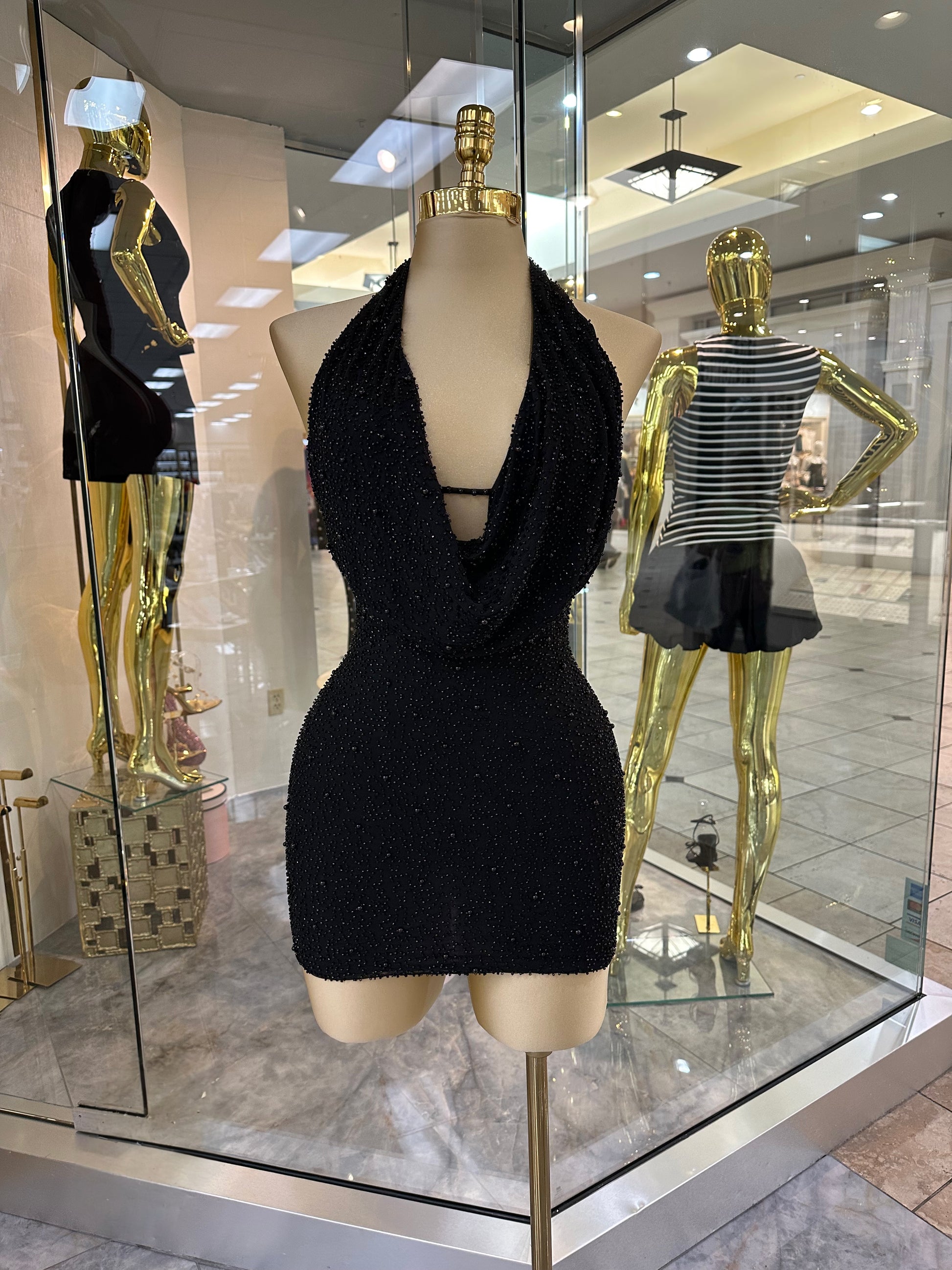 Lisa's Dress