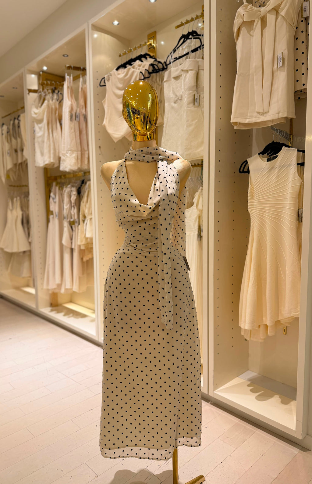 Emelia's Dress