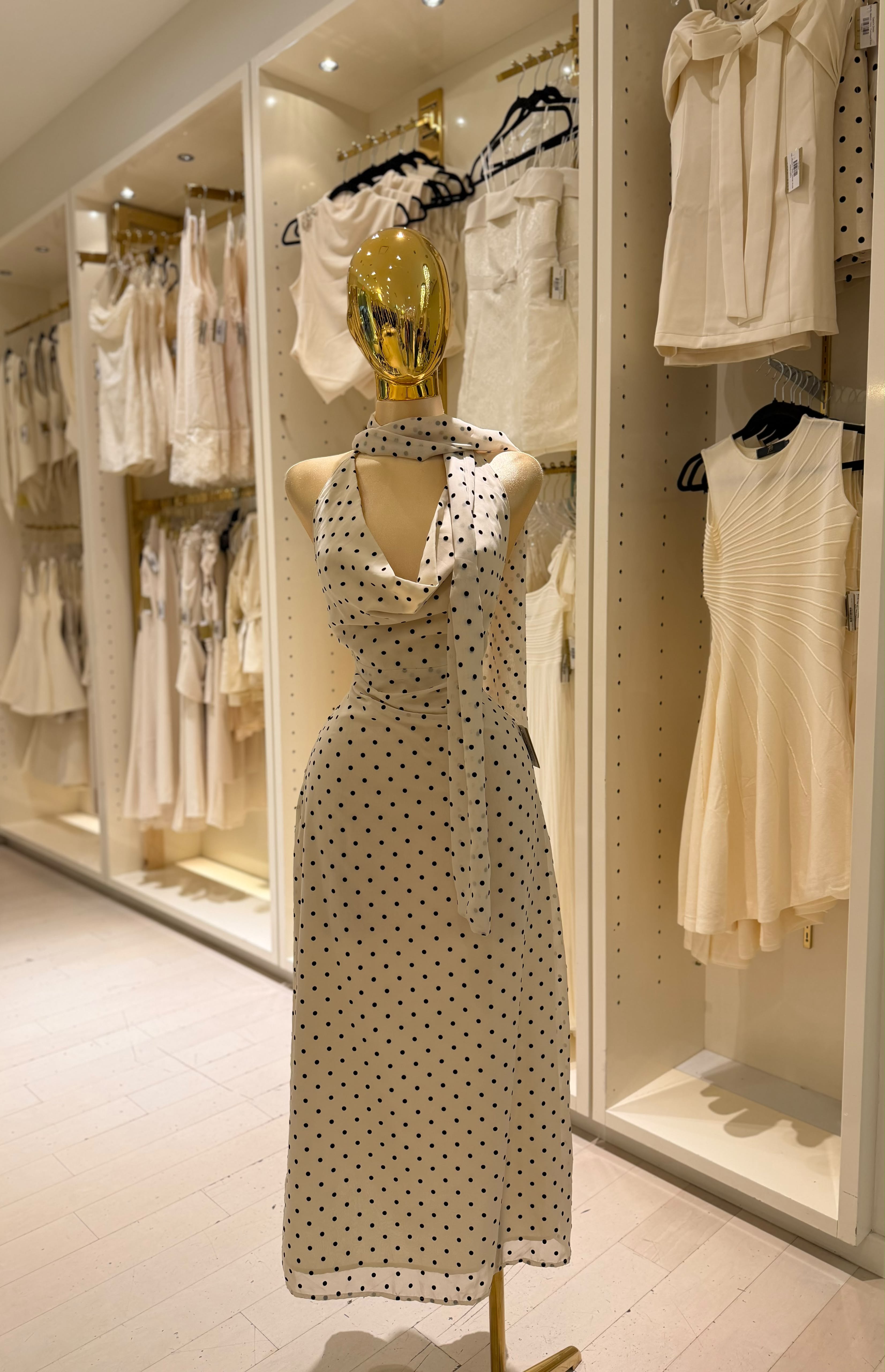 Emelia's Dress