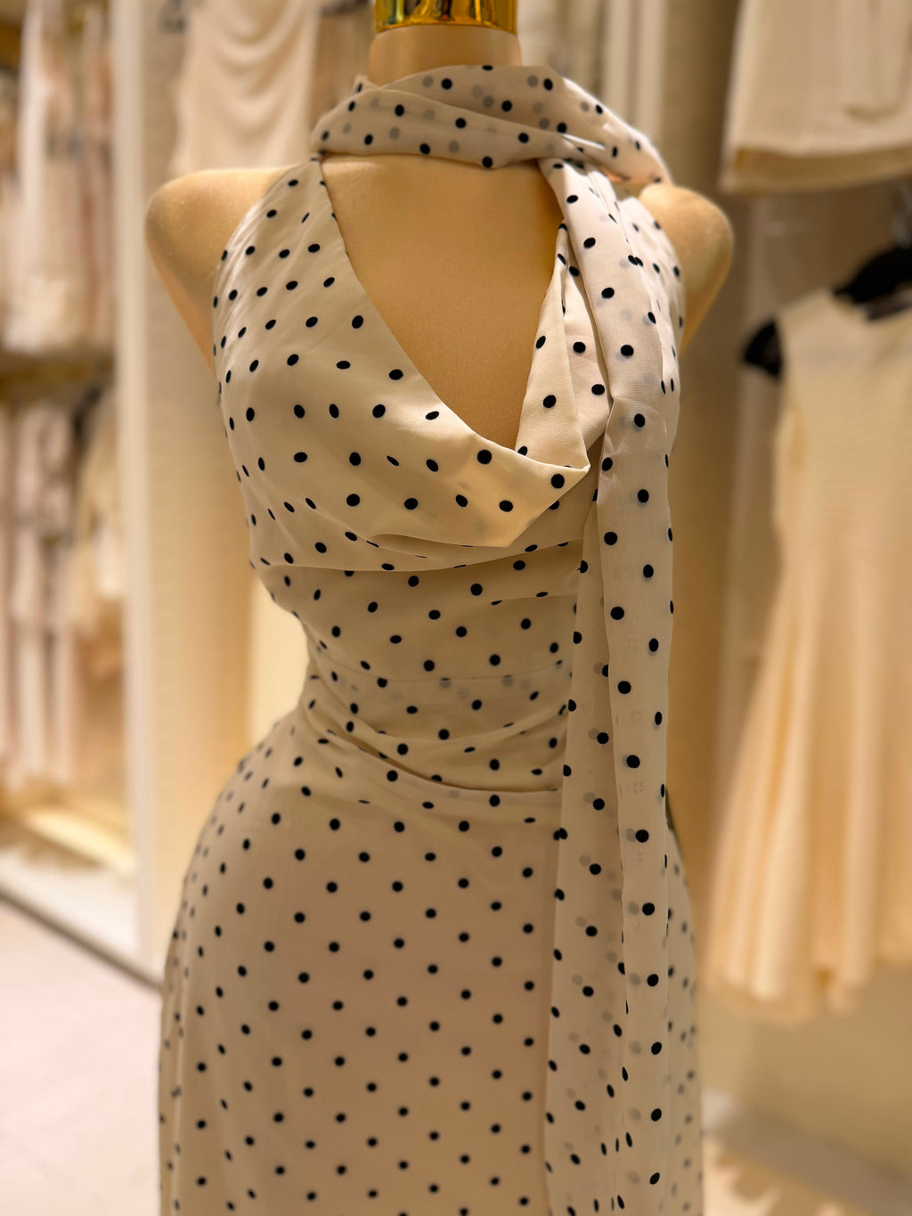 Emelia's Dress