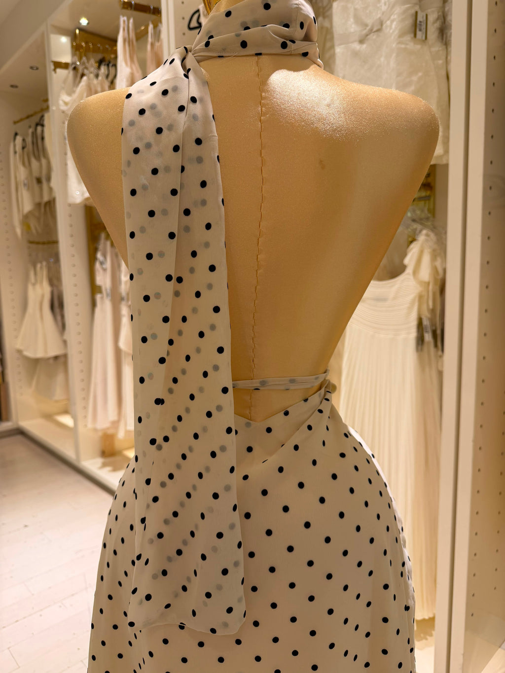 Emelia's Dress
