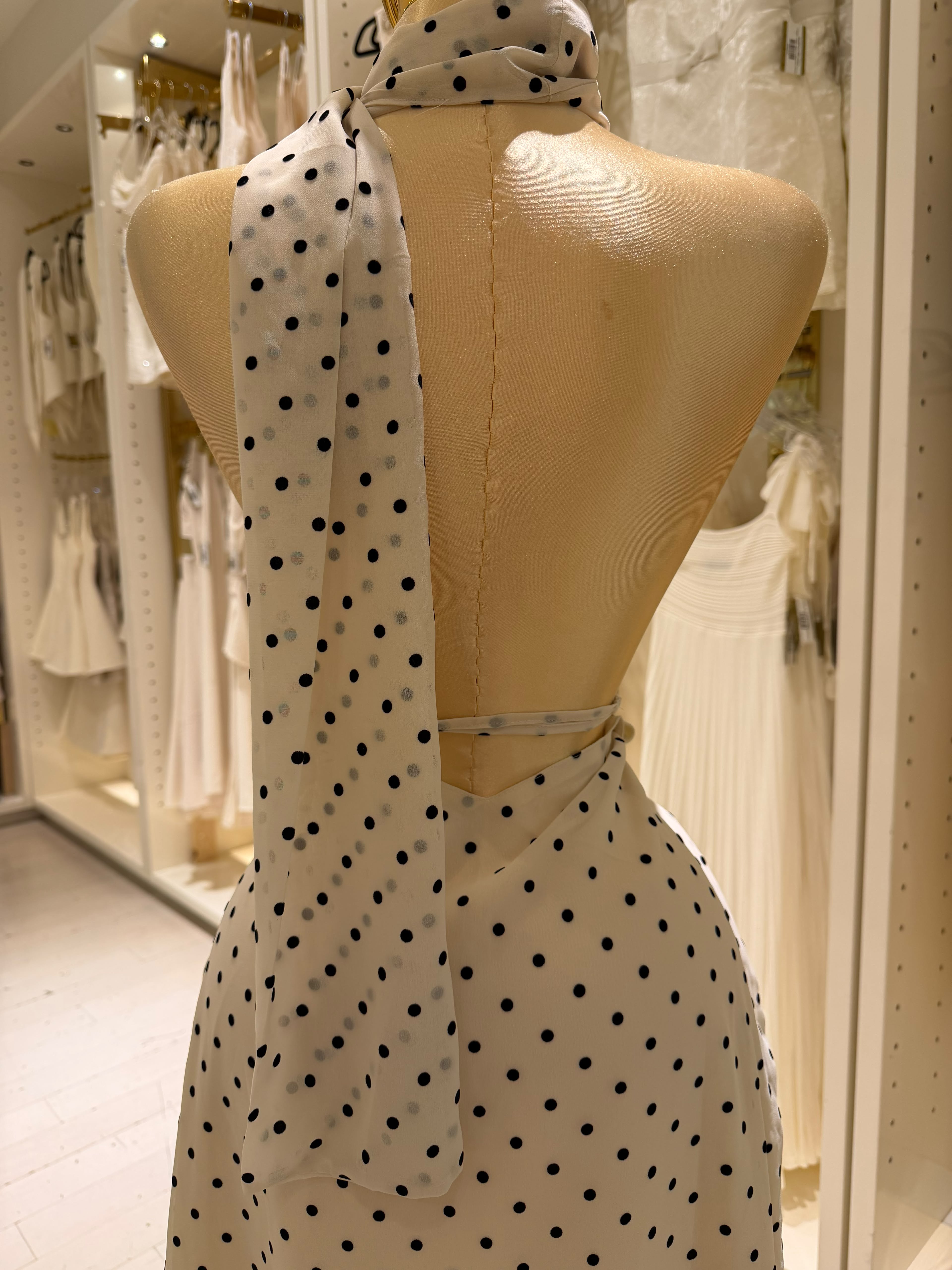Emelia's Dress