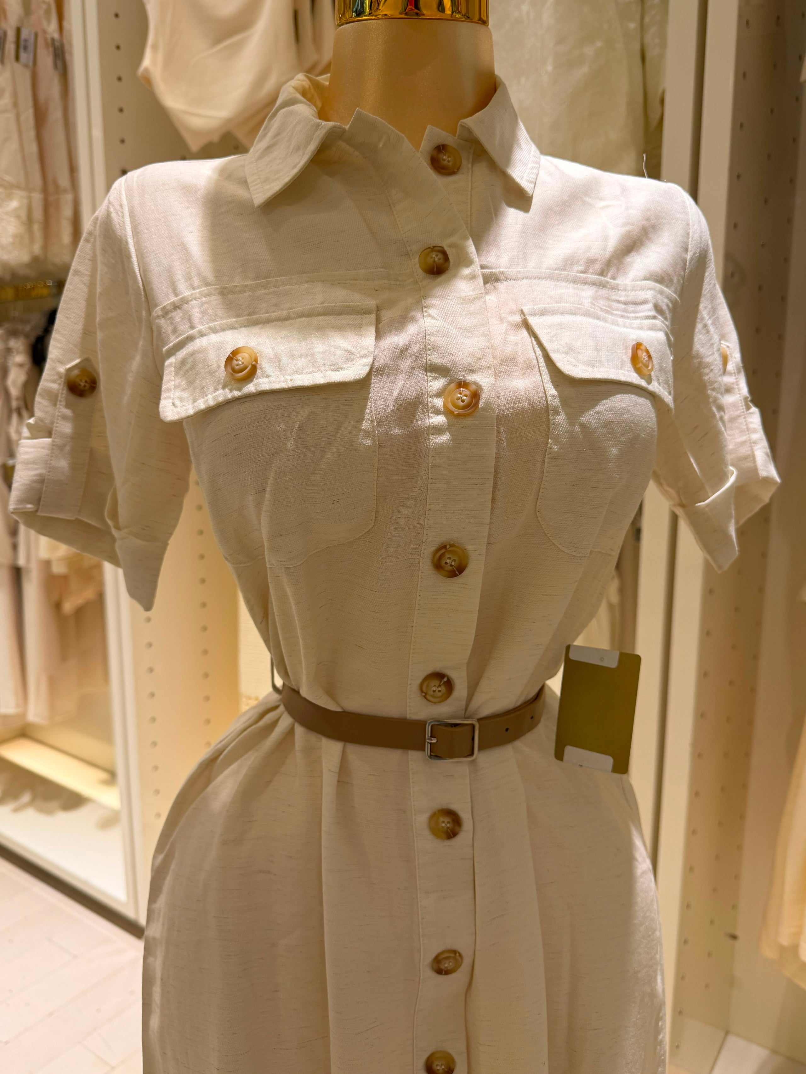 Sante's Dress