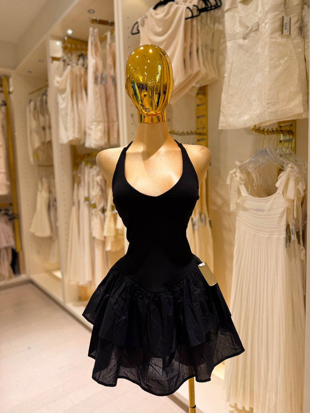 Fabi's Dress