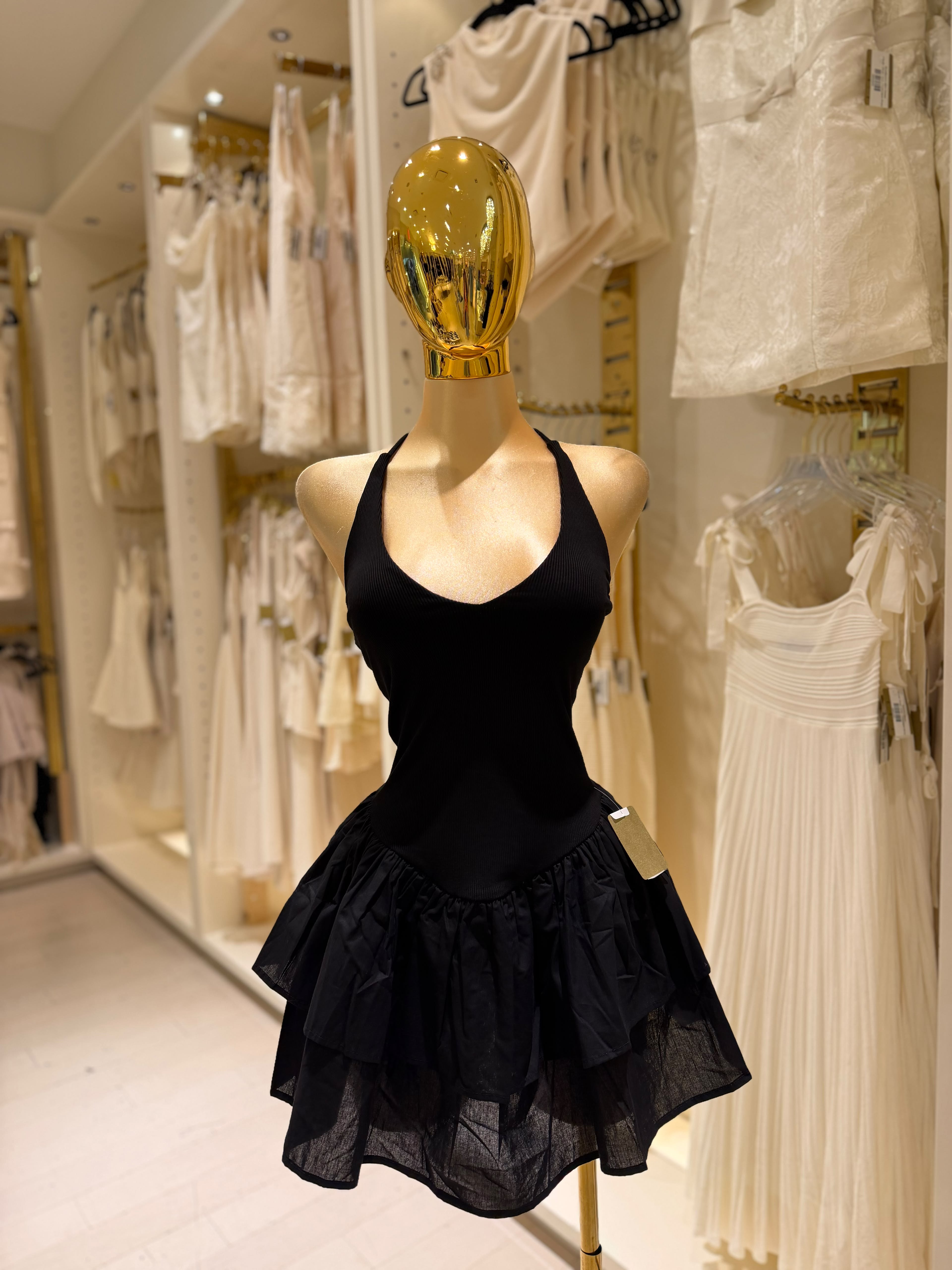 Fabi's Dress