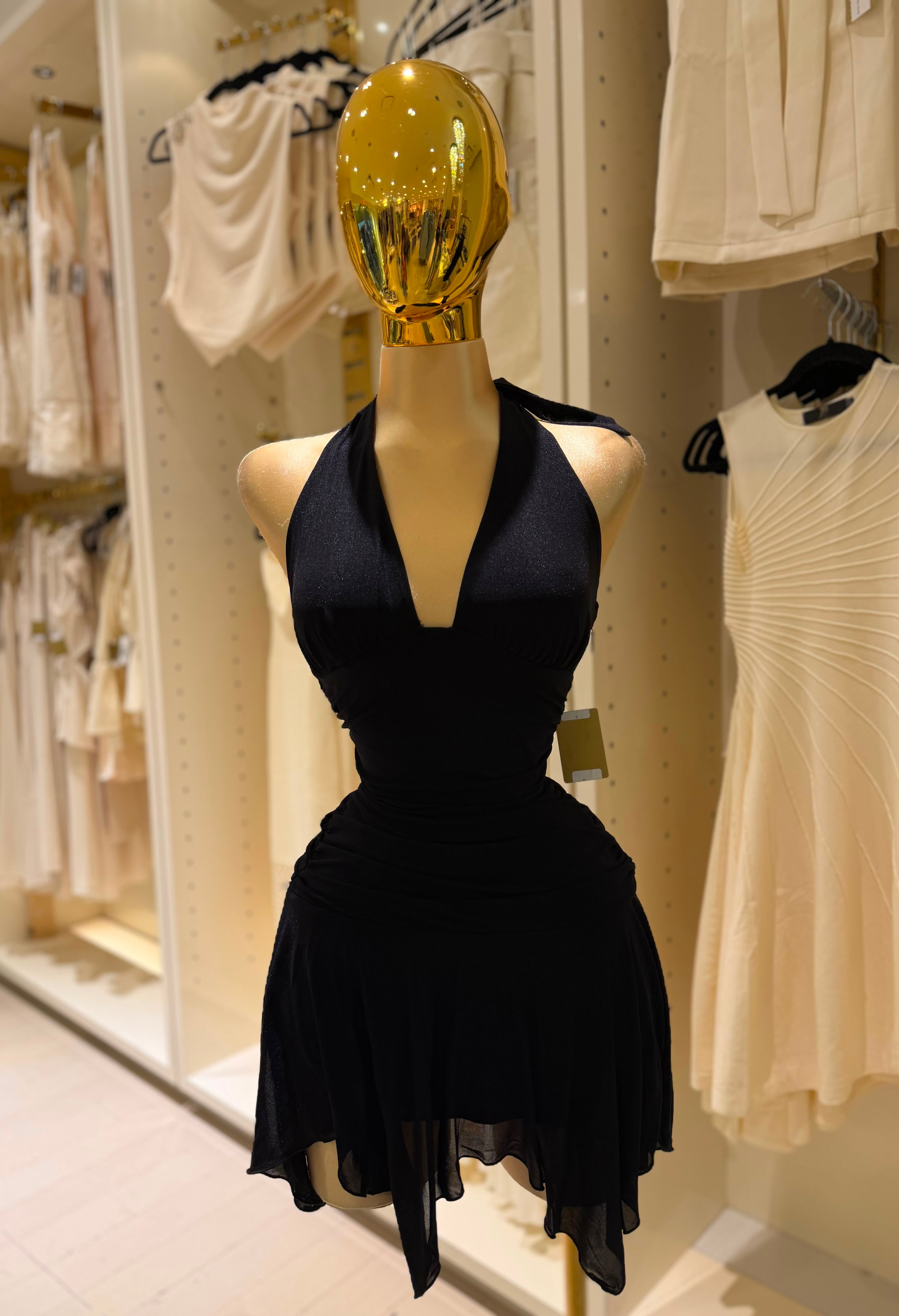 Elisa's Dress
