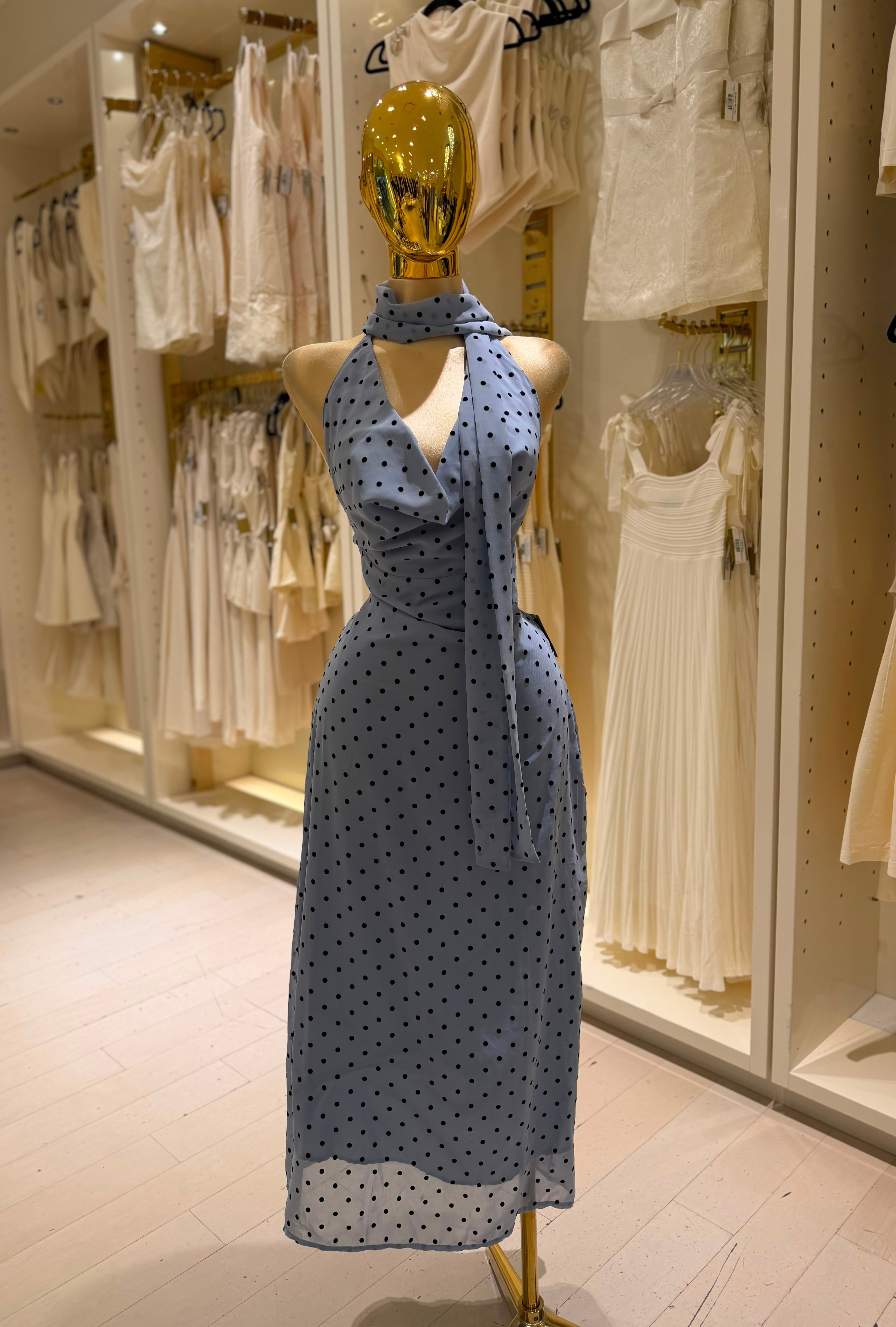 Emelia's Dress