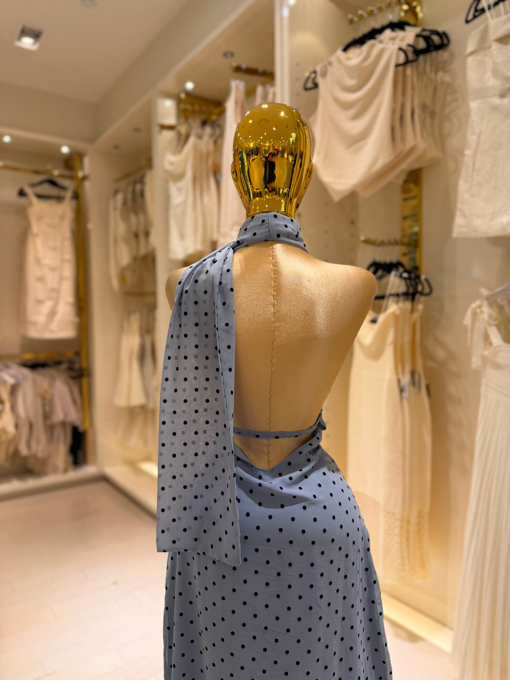 Emelia's Dress