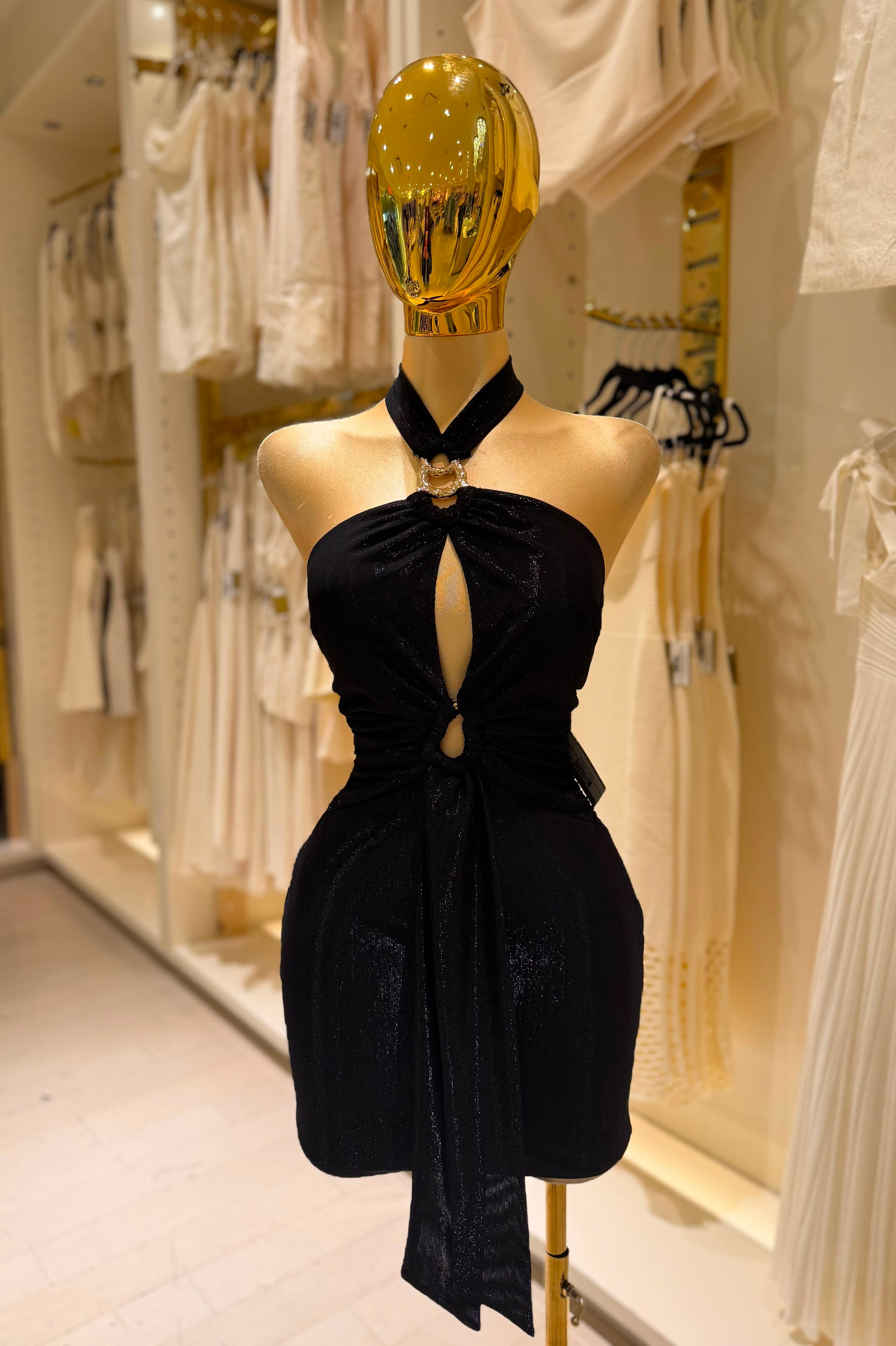 Nora's Dress
