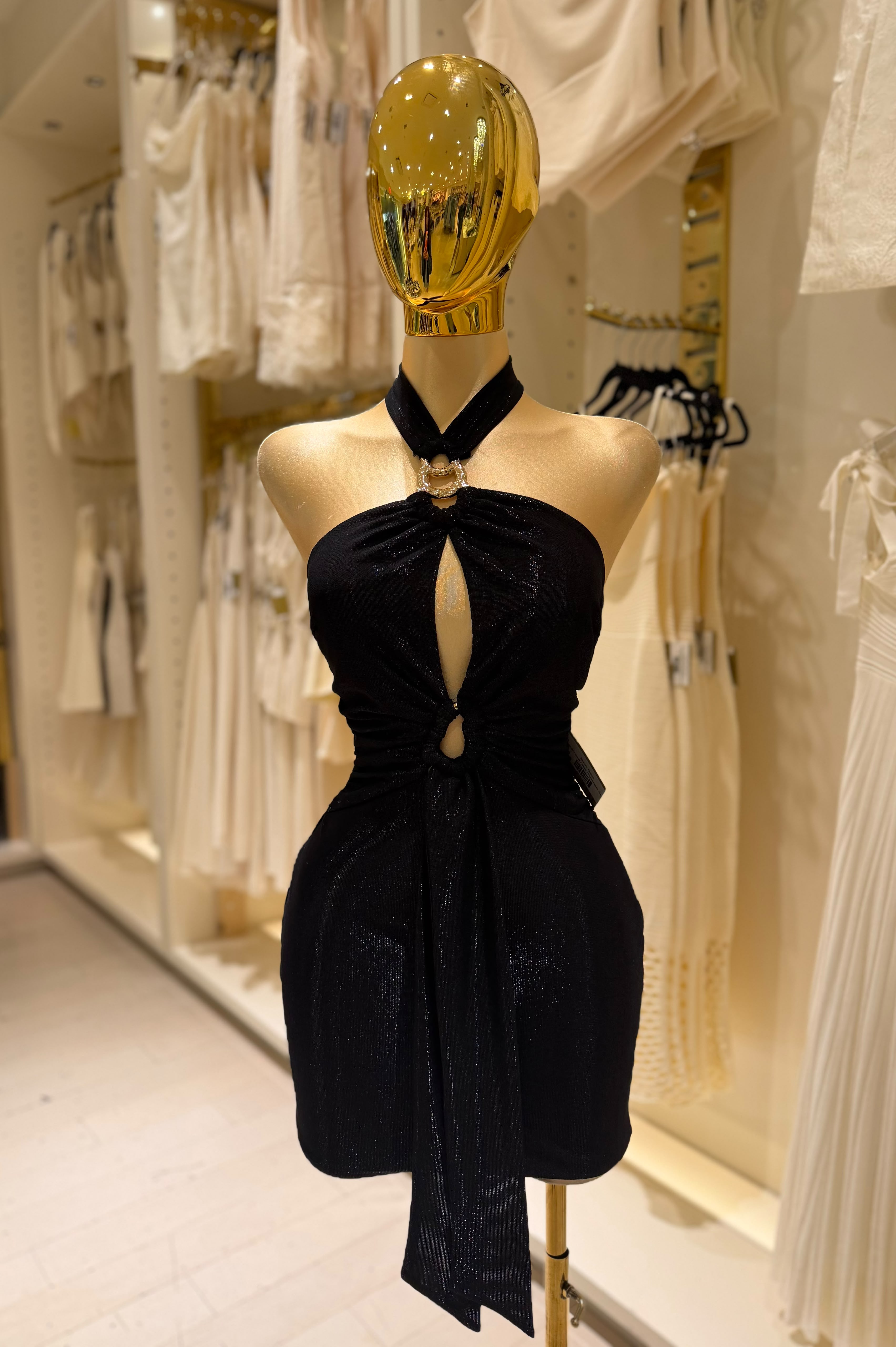Nora's Dress