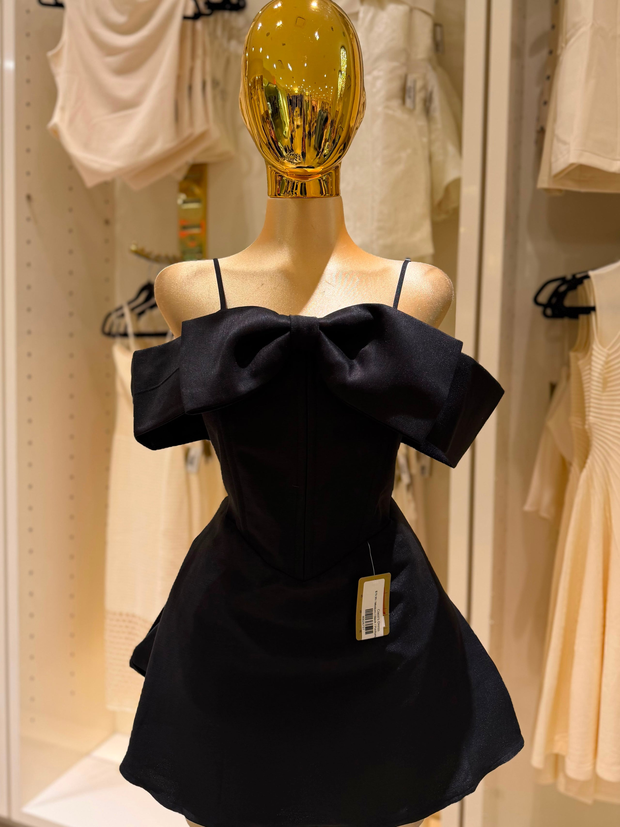 Coco's Dress