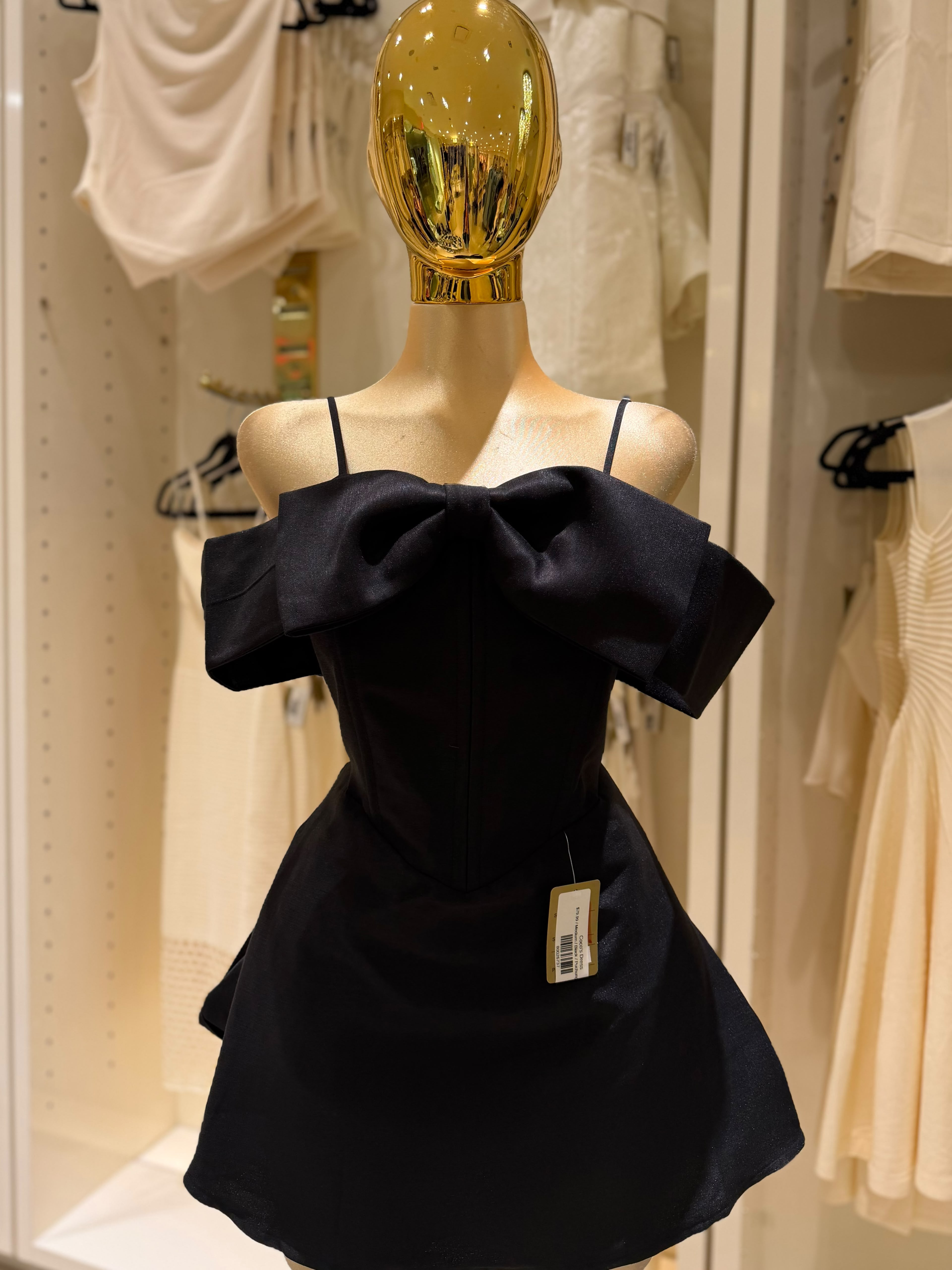 Coco's Dress