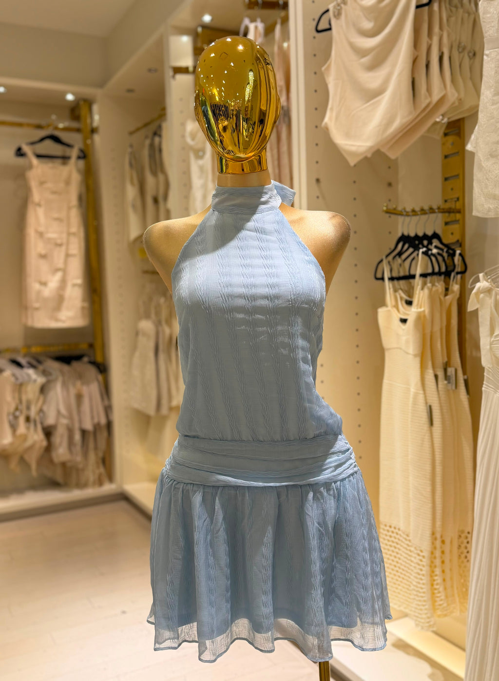 Fernanda's  Dress