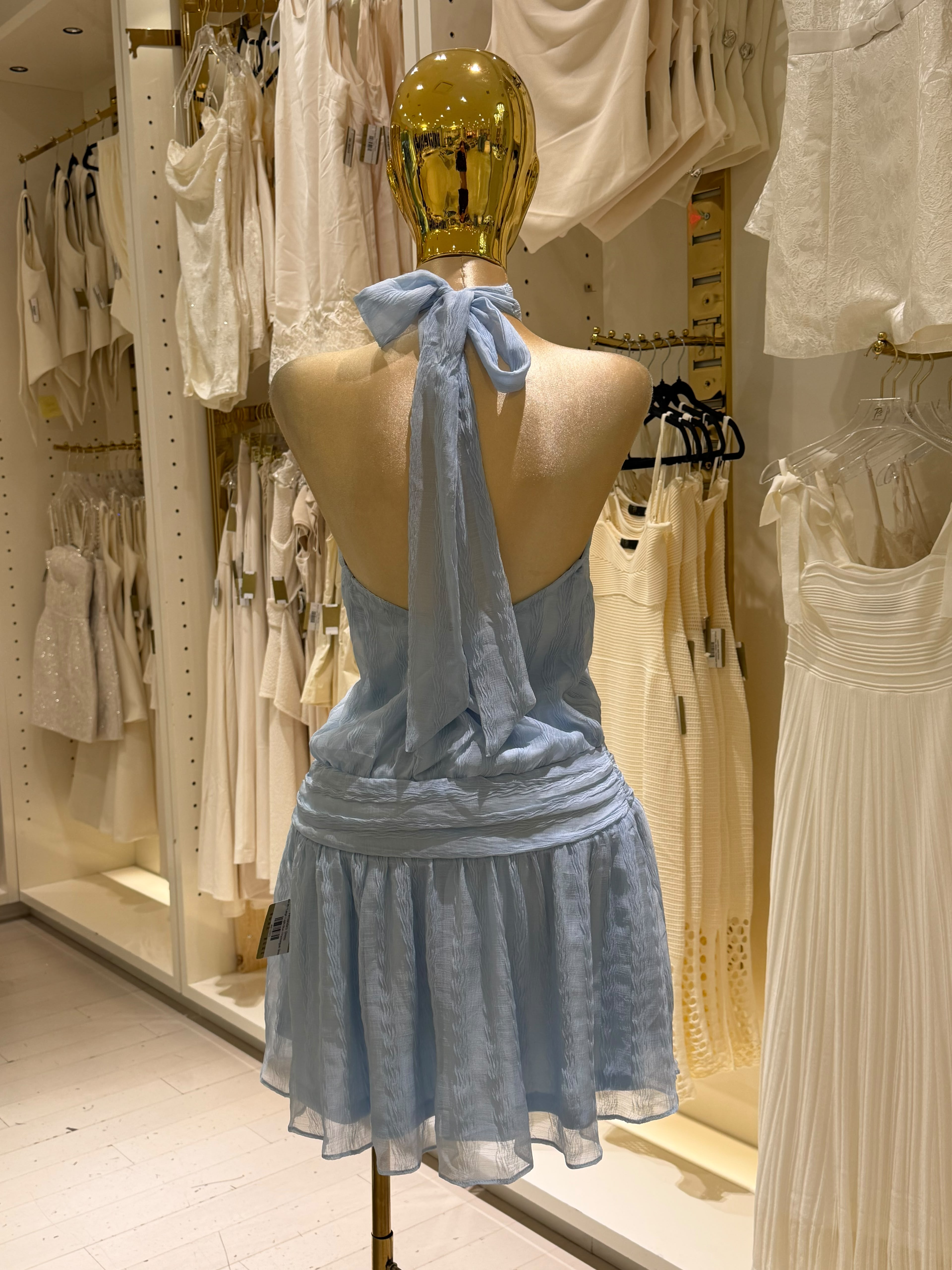 Fernanda's  Dress