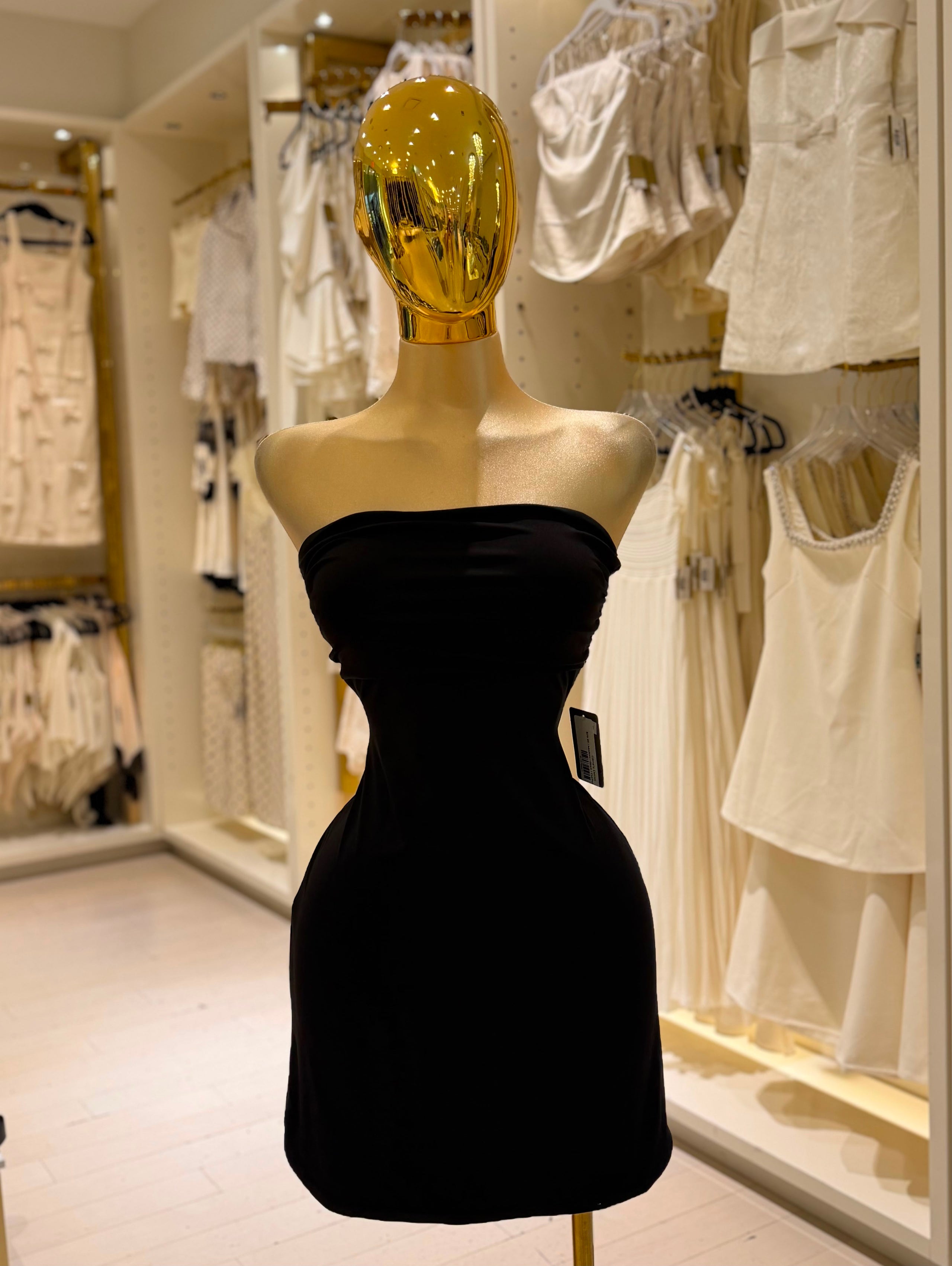 Gime's Dress