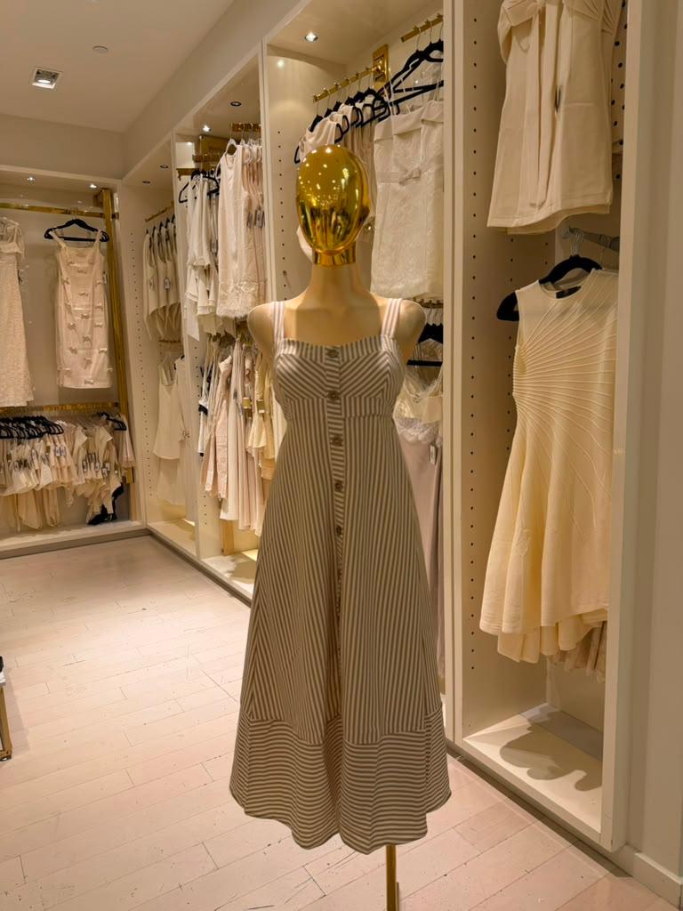 Rihanna's Dress