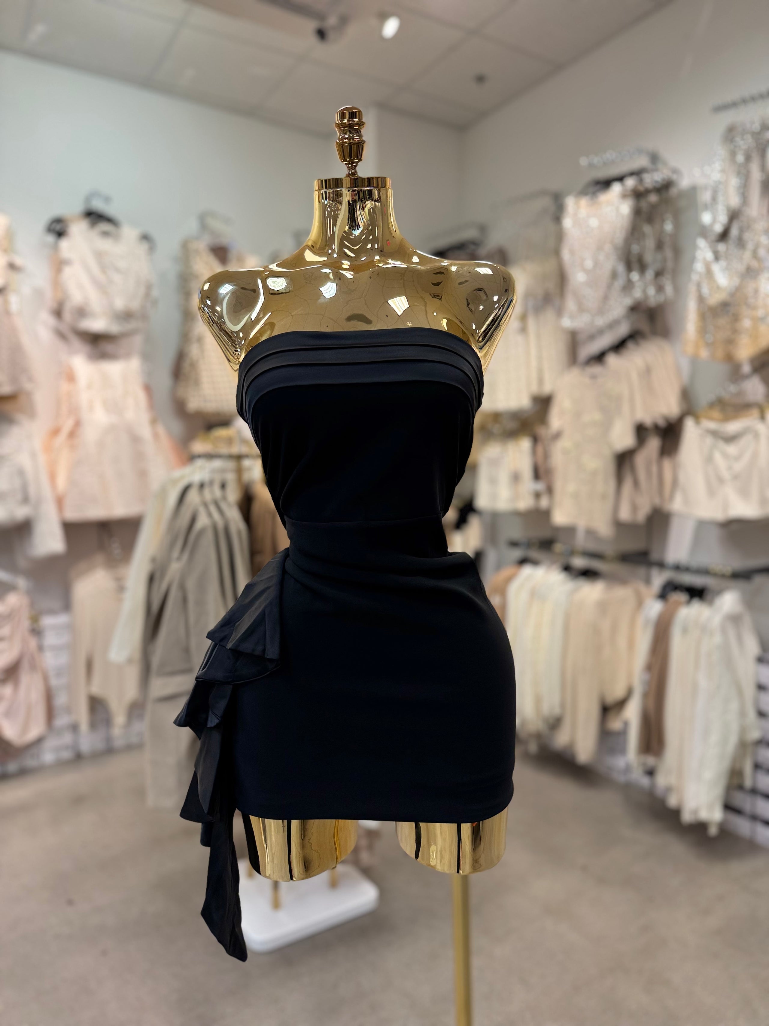 Rayleen's Dress
